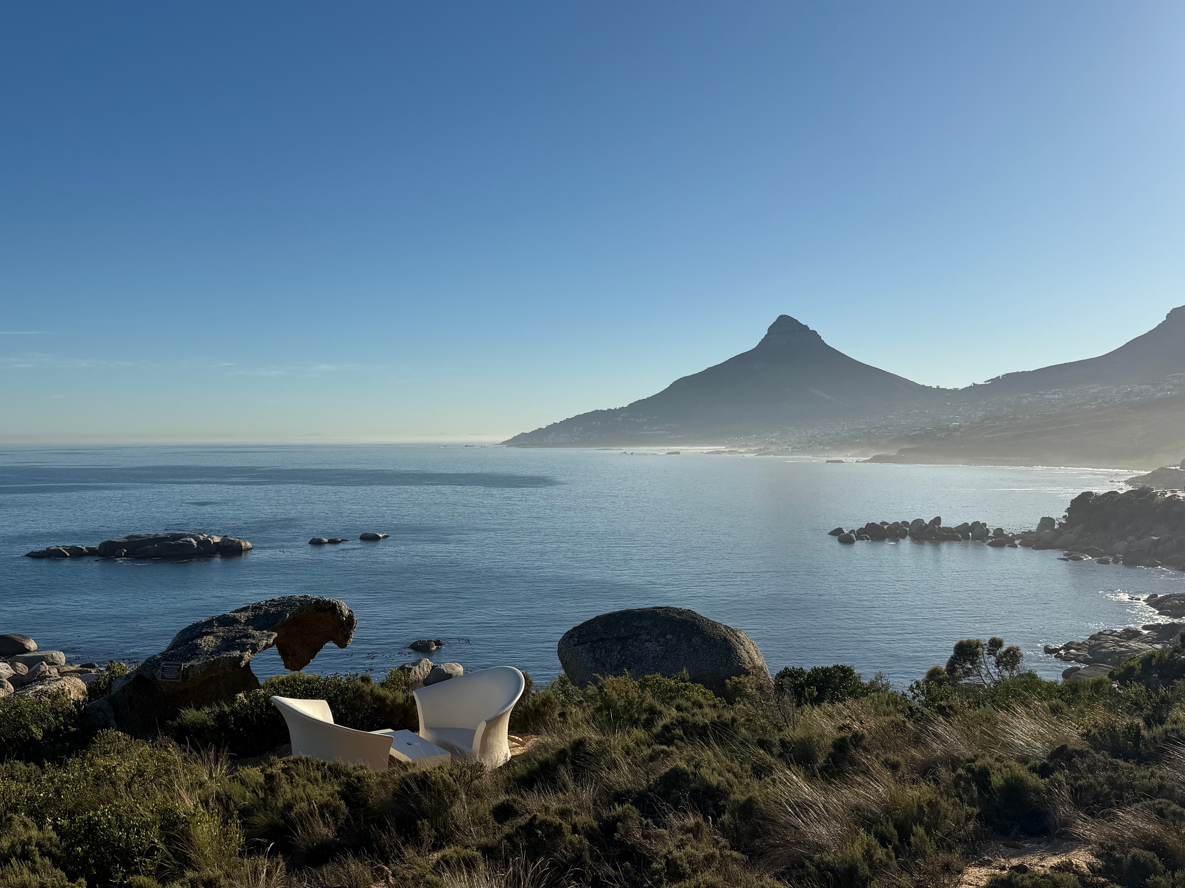 South Africa: Safari & The Coast curated by Dahlia Swerdloff