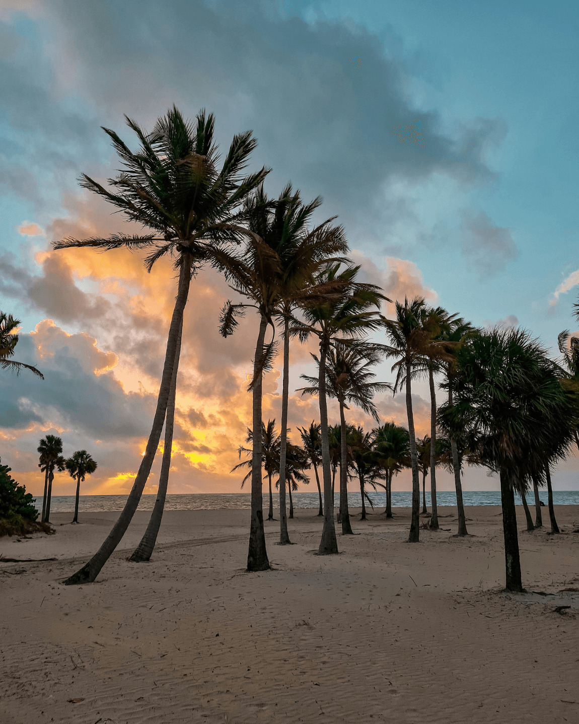 Miami Destination Guide 2025: Best Hotels, Things to Do, Where to Eat & Local Tips curated by Chelsea Vanderpool