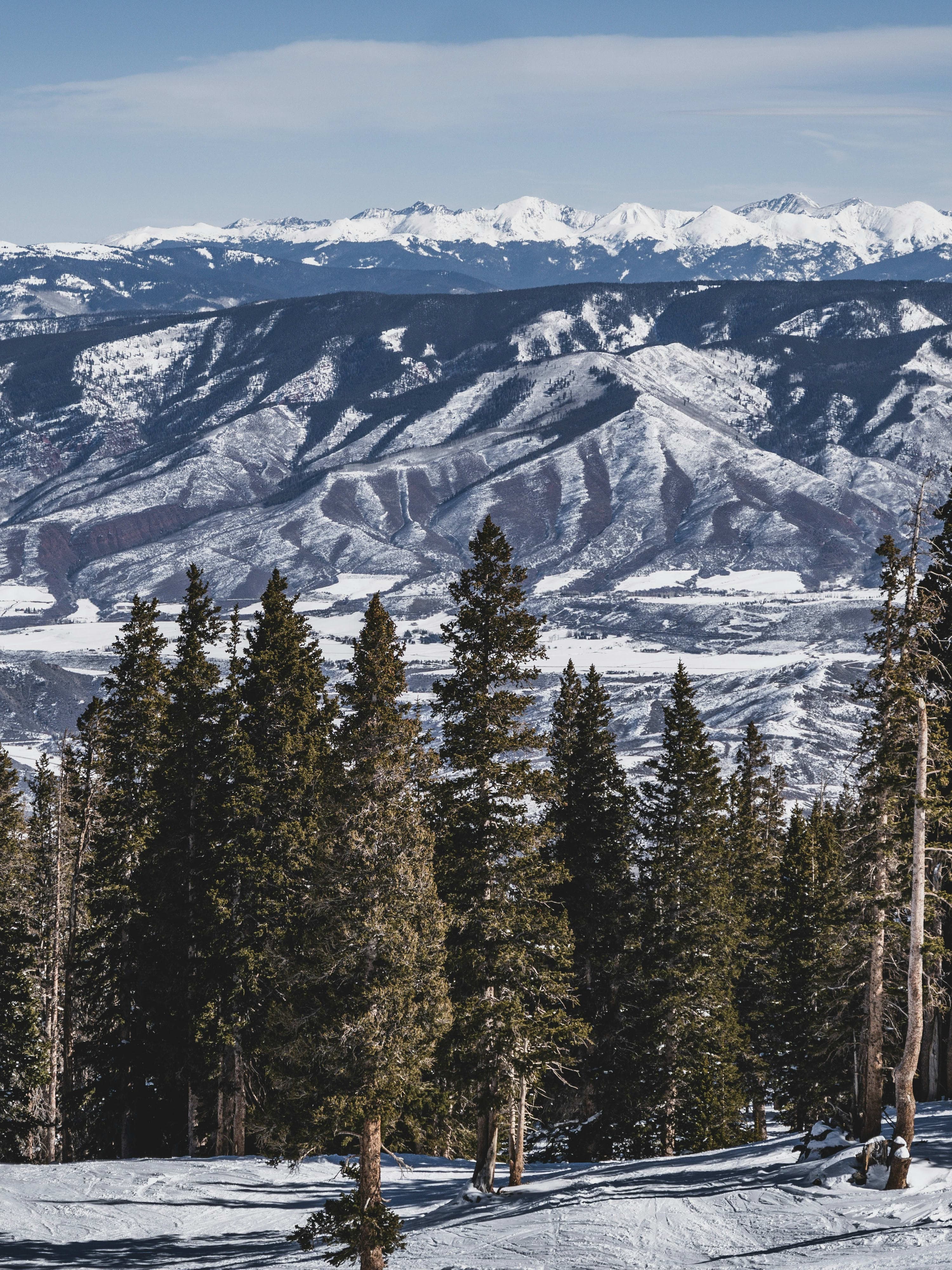 Aspen: Beyond the Slopes curated by Lucas Wackford