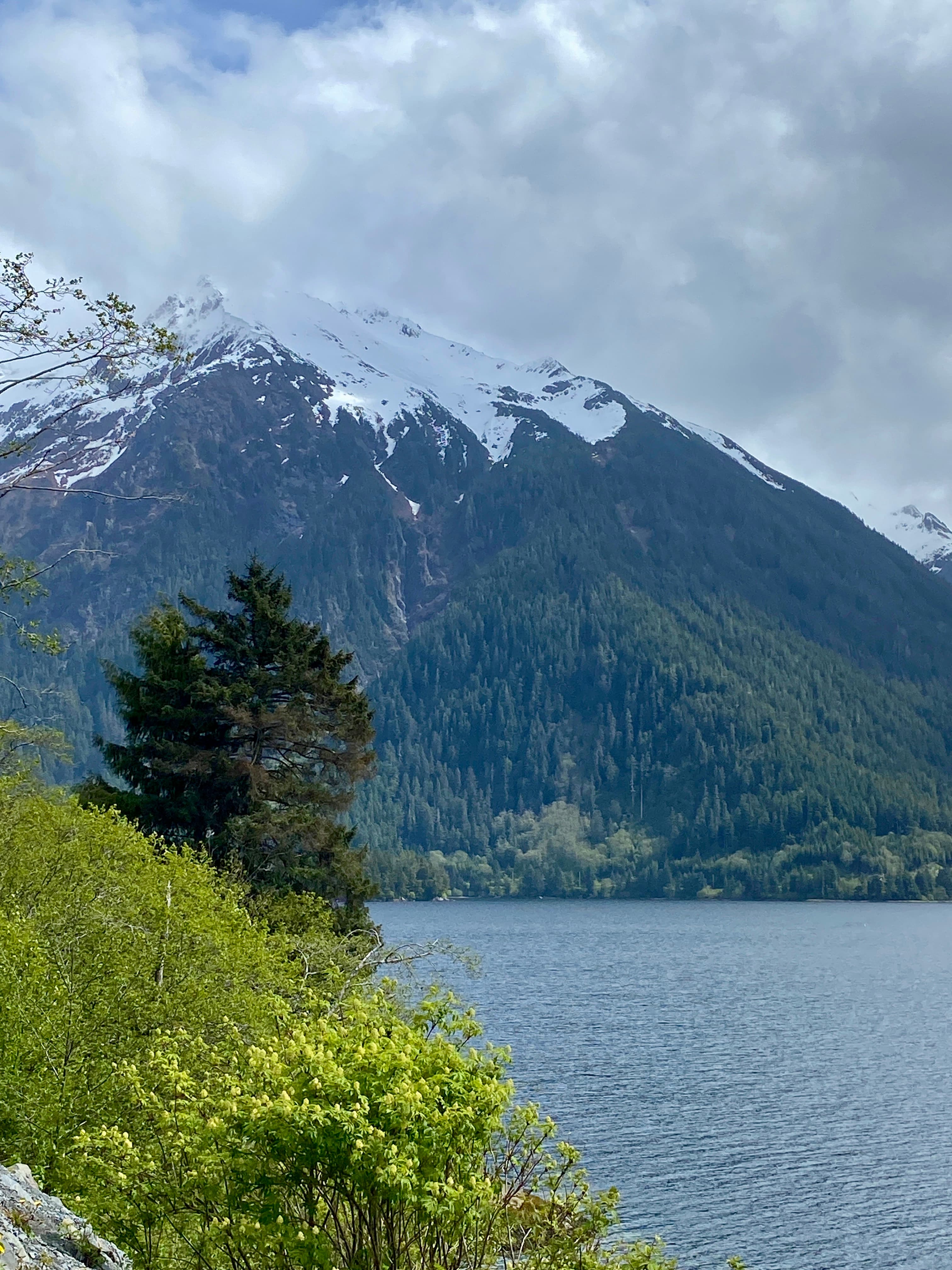 Alaskan Adventure: A Nature Lover's Paradise curated by Kadija Bridgewater