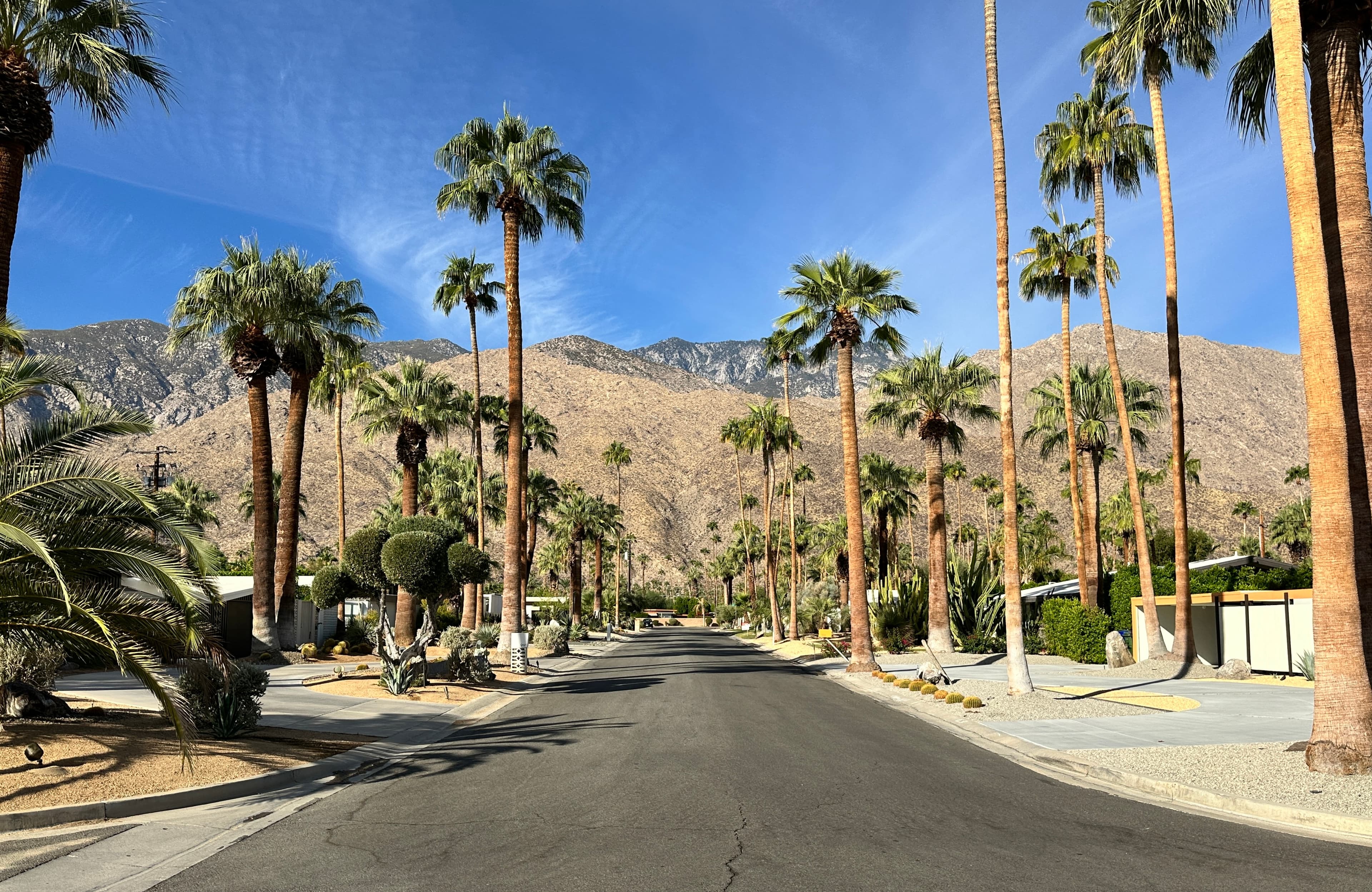 Palm Springs: Mid-Mod Magical Getaway curated by Tara Brower