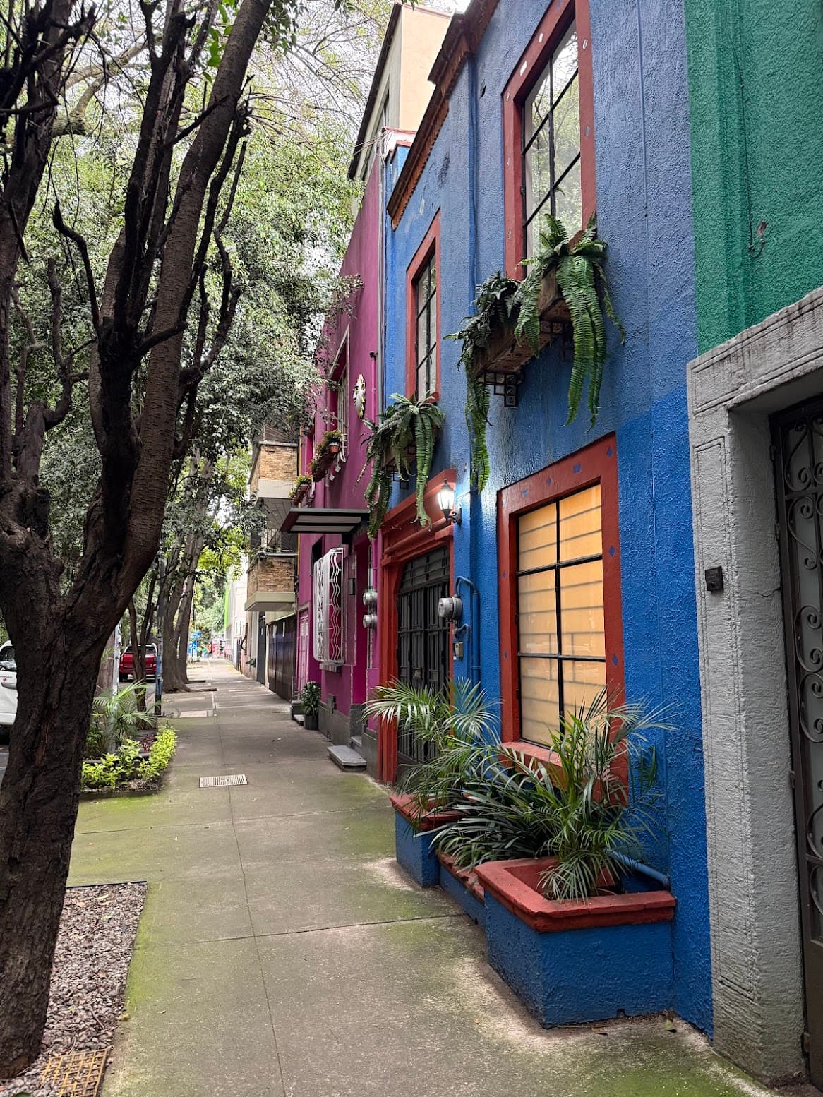 3 Days in Mexico City: Incredible Food, Museums & Adventures curated by Dawn McKenzie