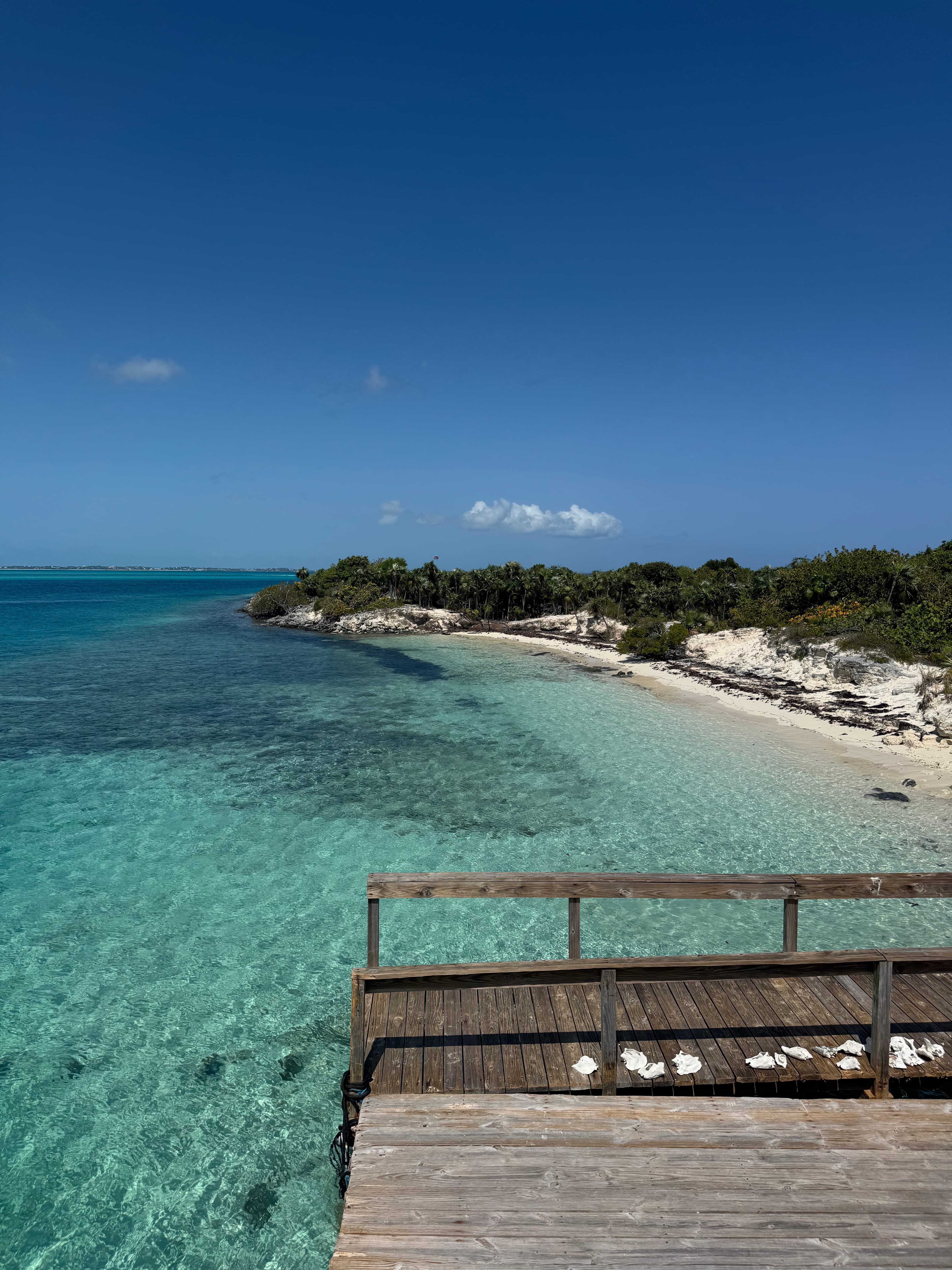 A Family-Friendly Vacation at The Palms Turks and Caicos curated by Andrea Hutchinson