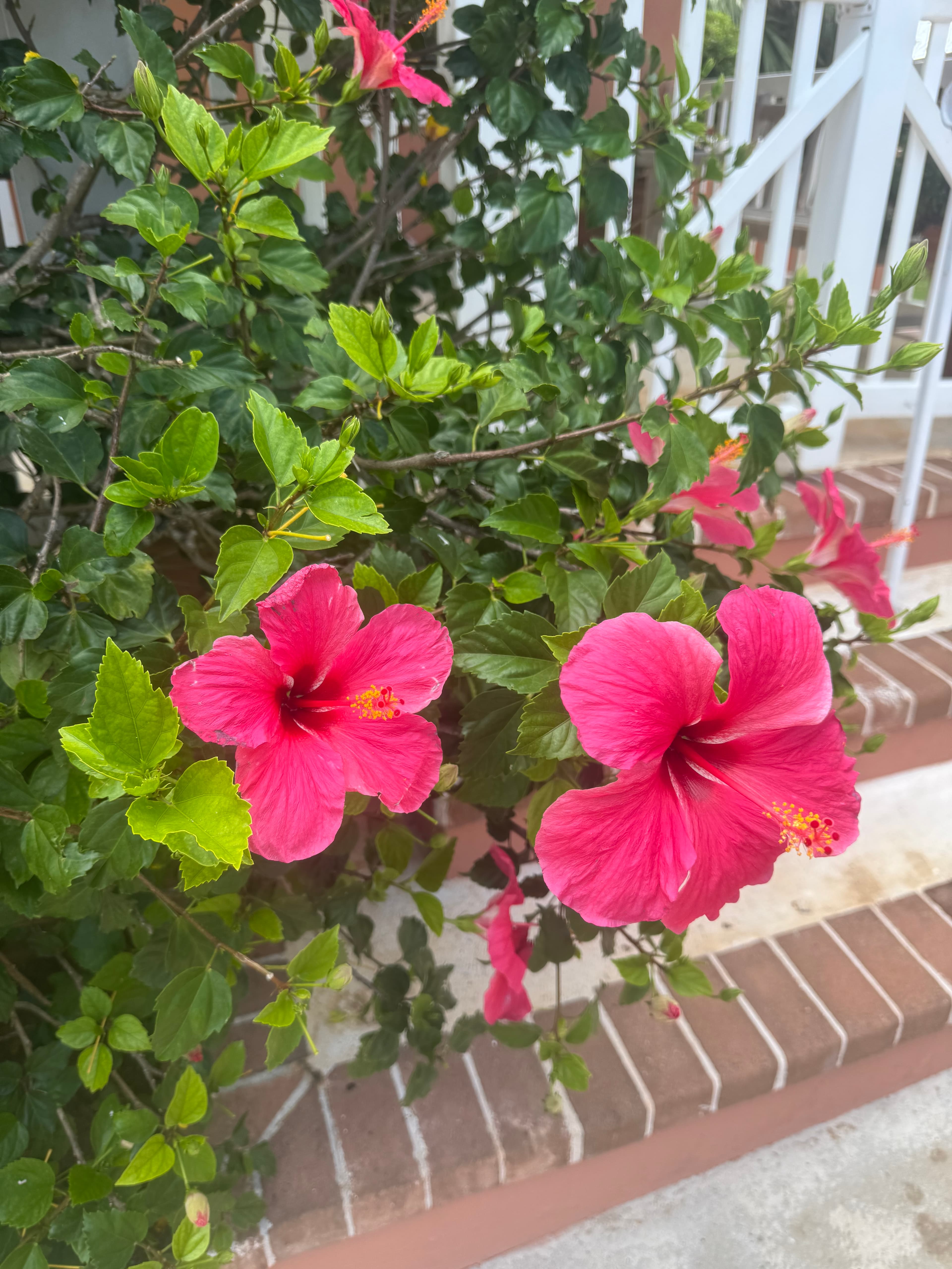 Travel photo 1