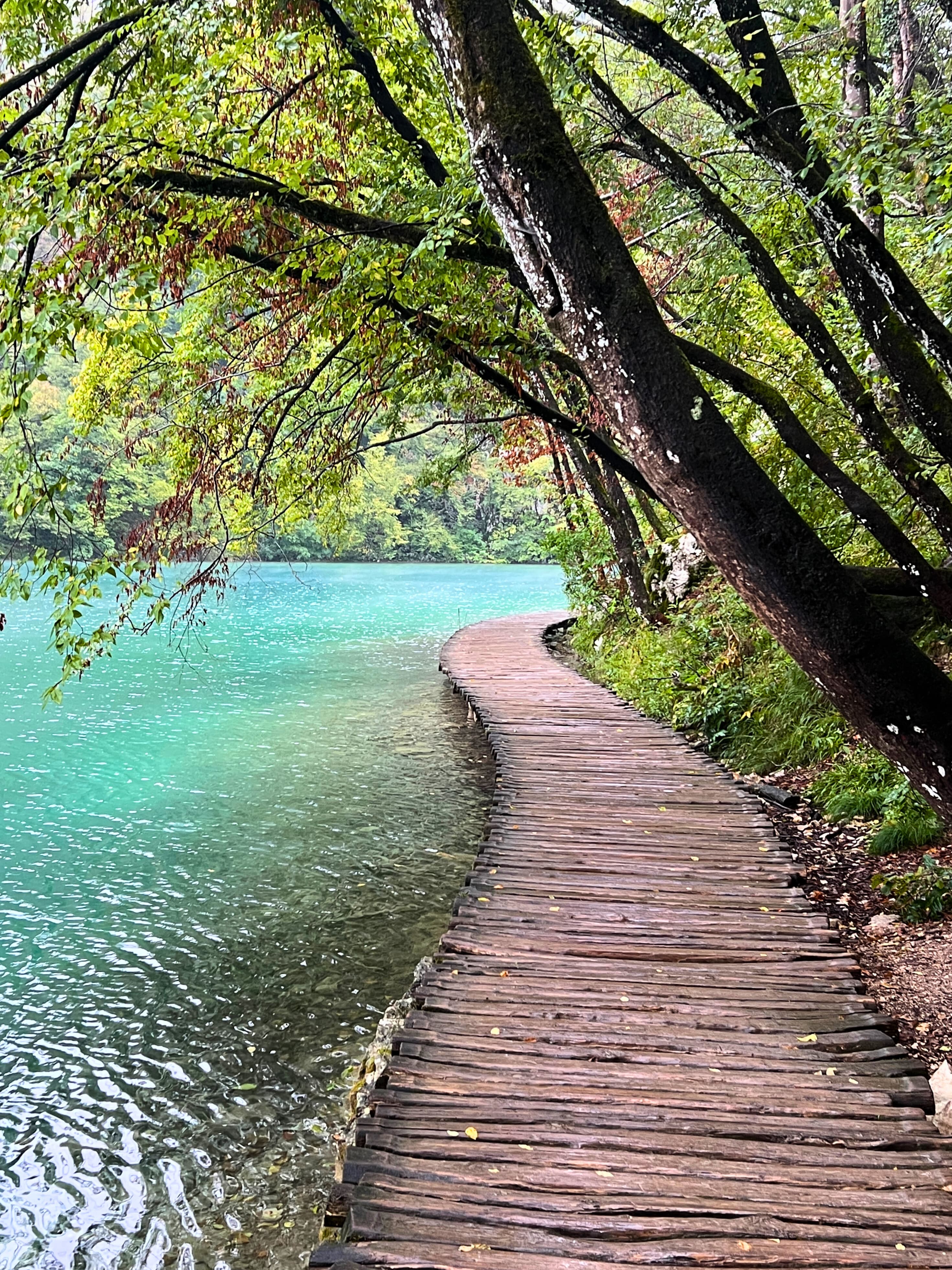 10 Days in Croatia: A Mosaic of History and Nature curated by Lee Libro