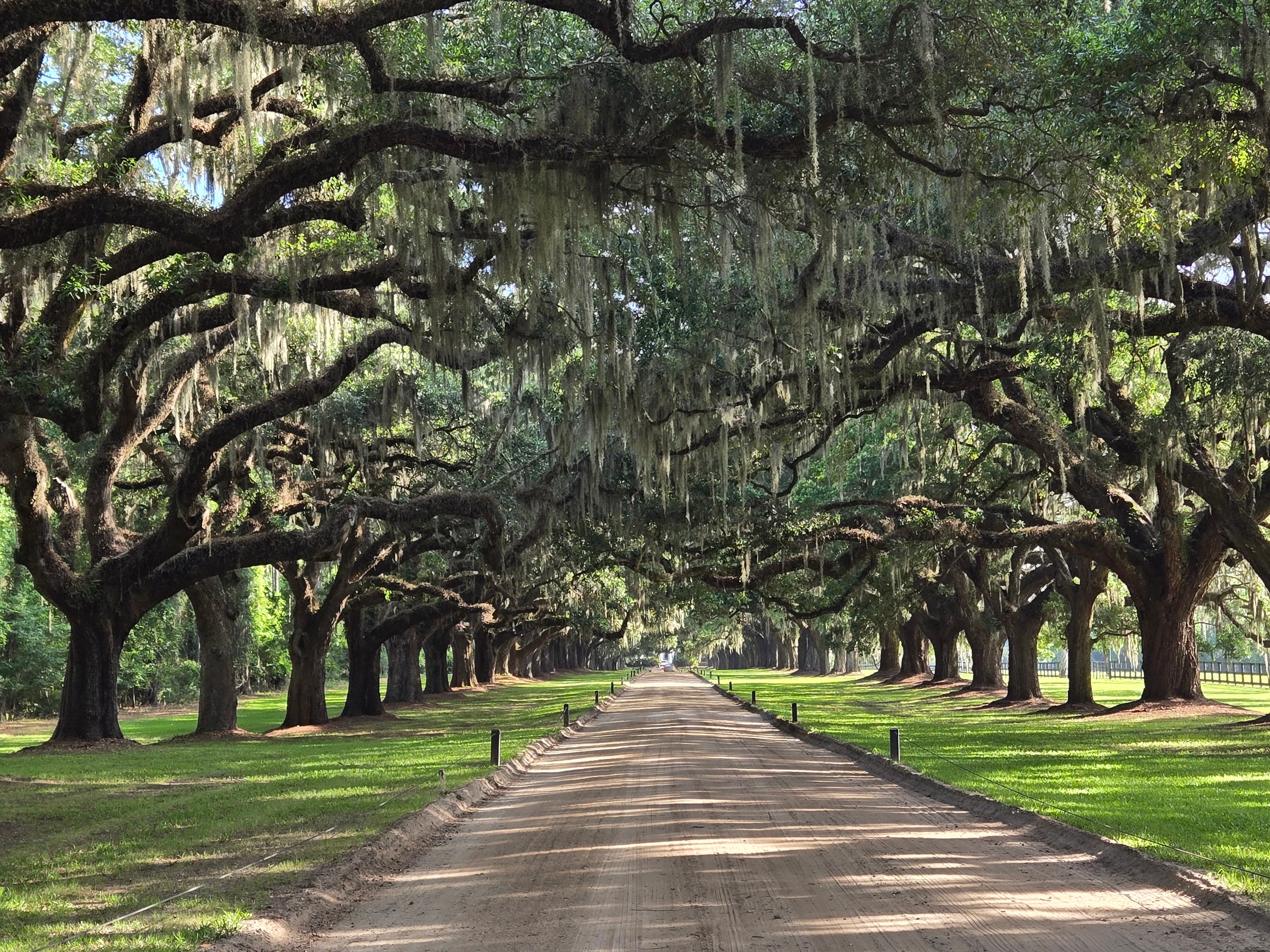 Charleston: Southern Charm, History & The Most Gorgeous Sunset Ever curated by Jennifer Klingner