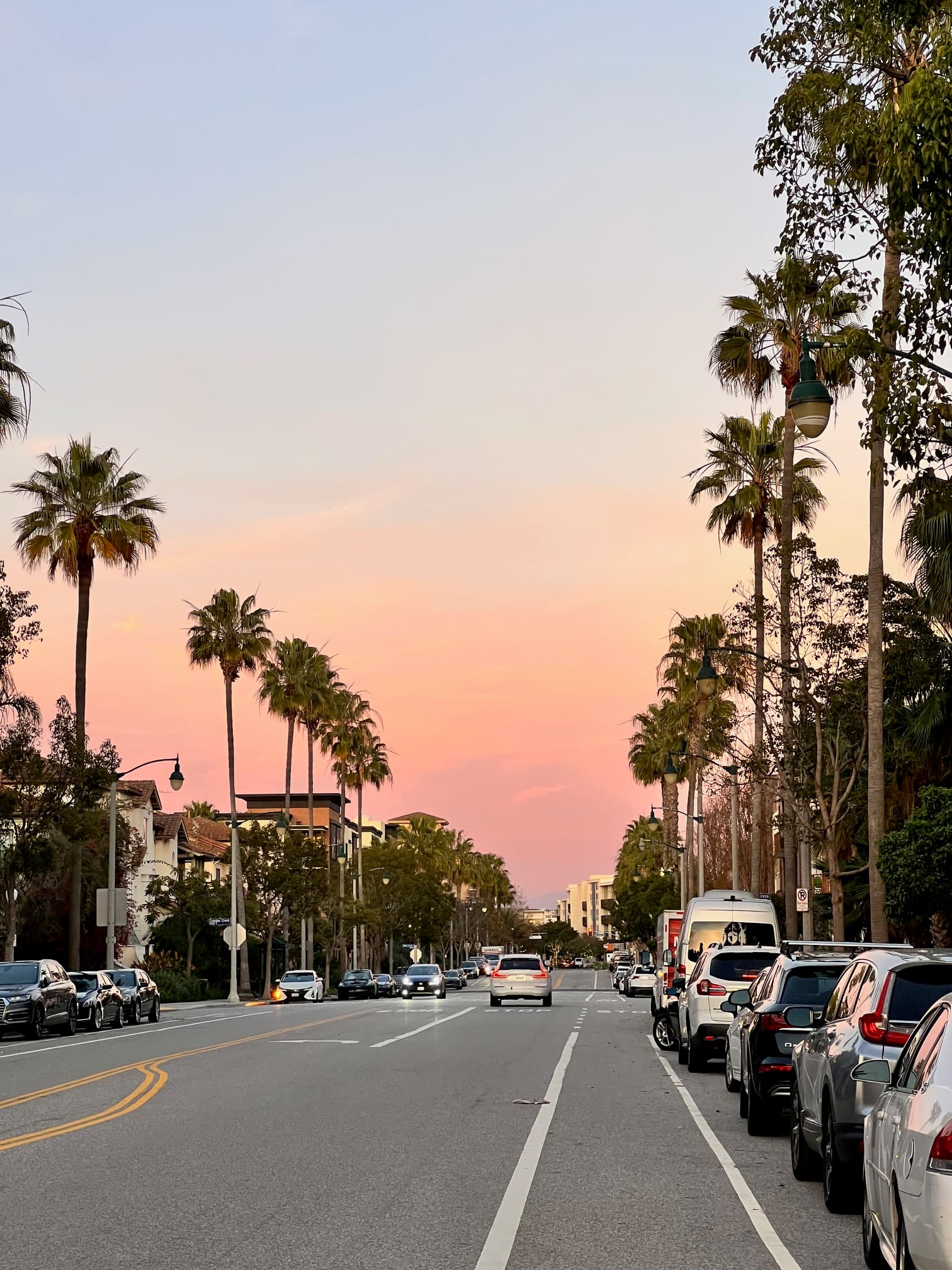 Guide to Los Angeles from a Transplant Turned Local curated by Liesel Richardson