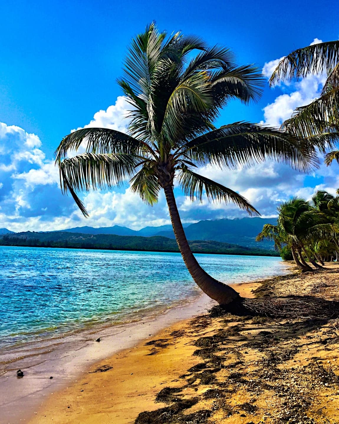 A Journey Through Puerto Rico: Where Rhythm Meets Paradise curated by Claudia González