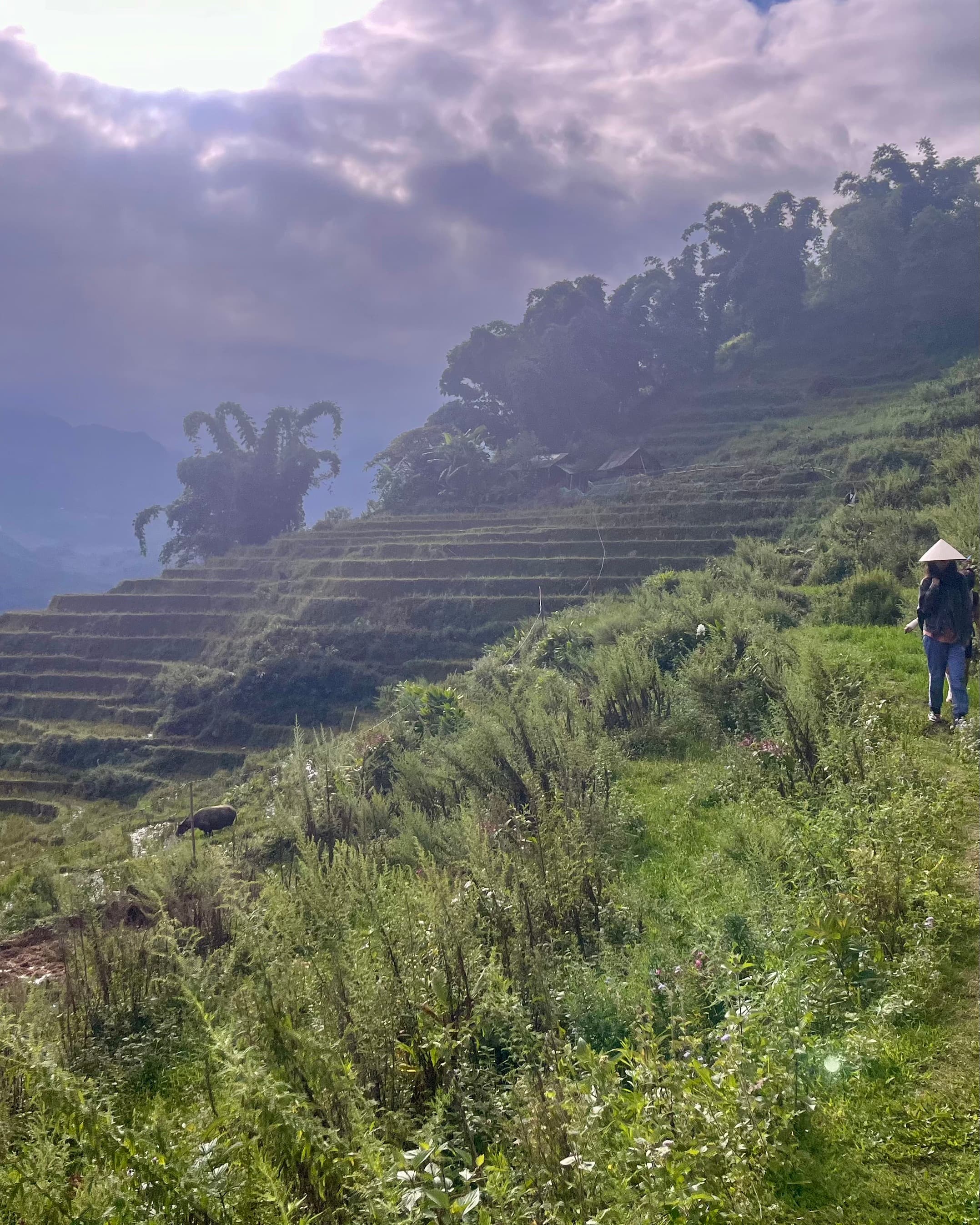 Two Weeks in Vietnam: Solo Adventure from Hanoi to Hoi An curated by Becca Quick