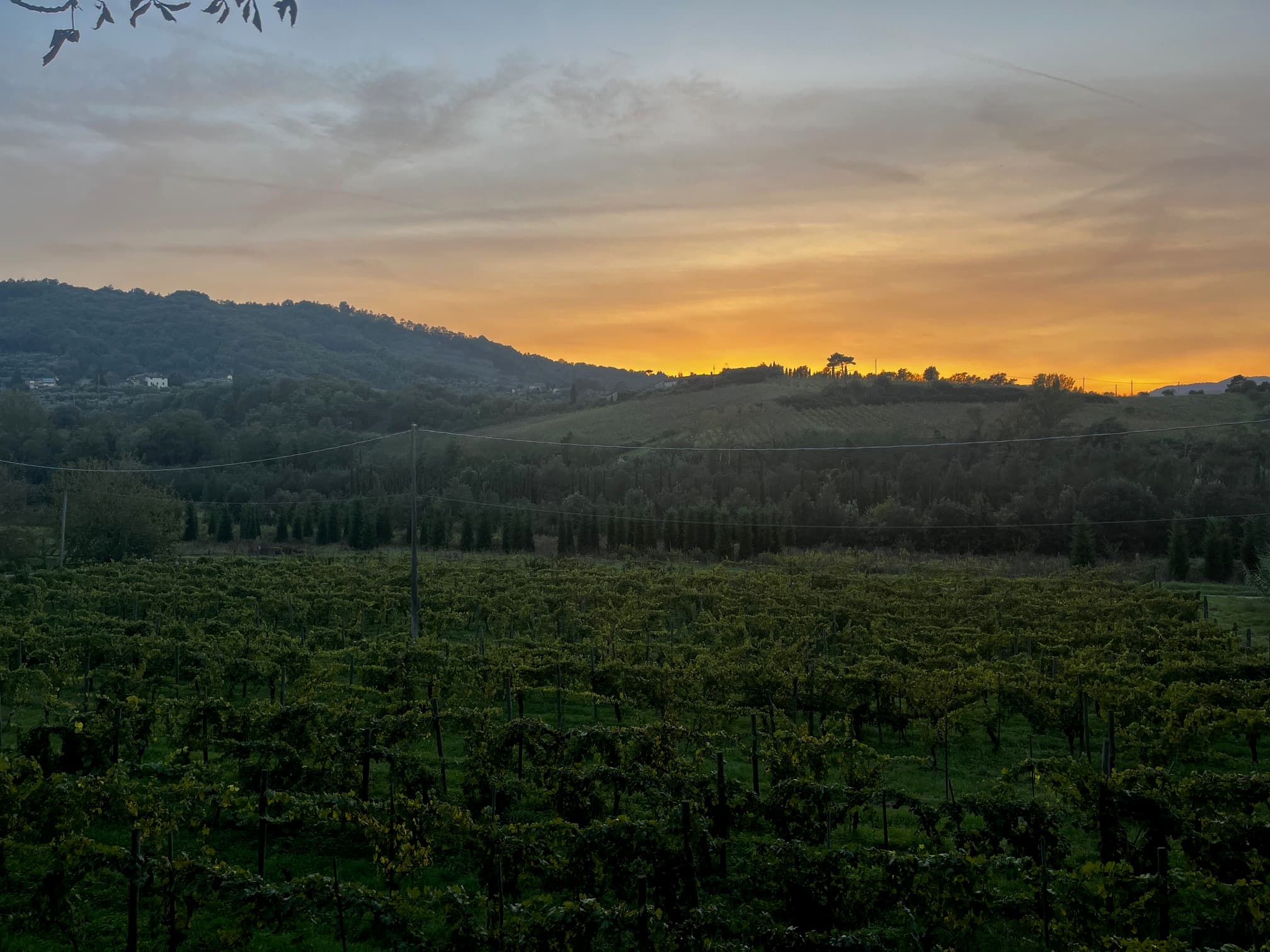 Drink Wine Like a Local in Sonoma County, California curated by Alexandra Meyer Arendt