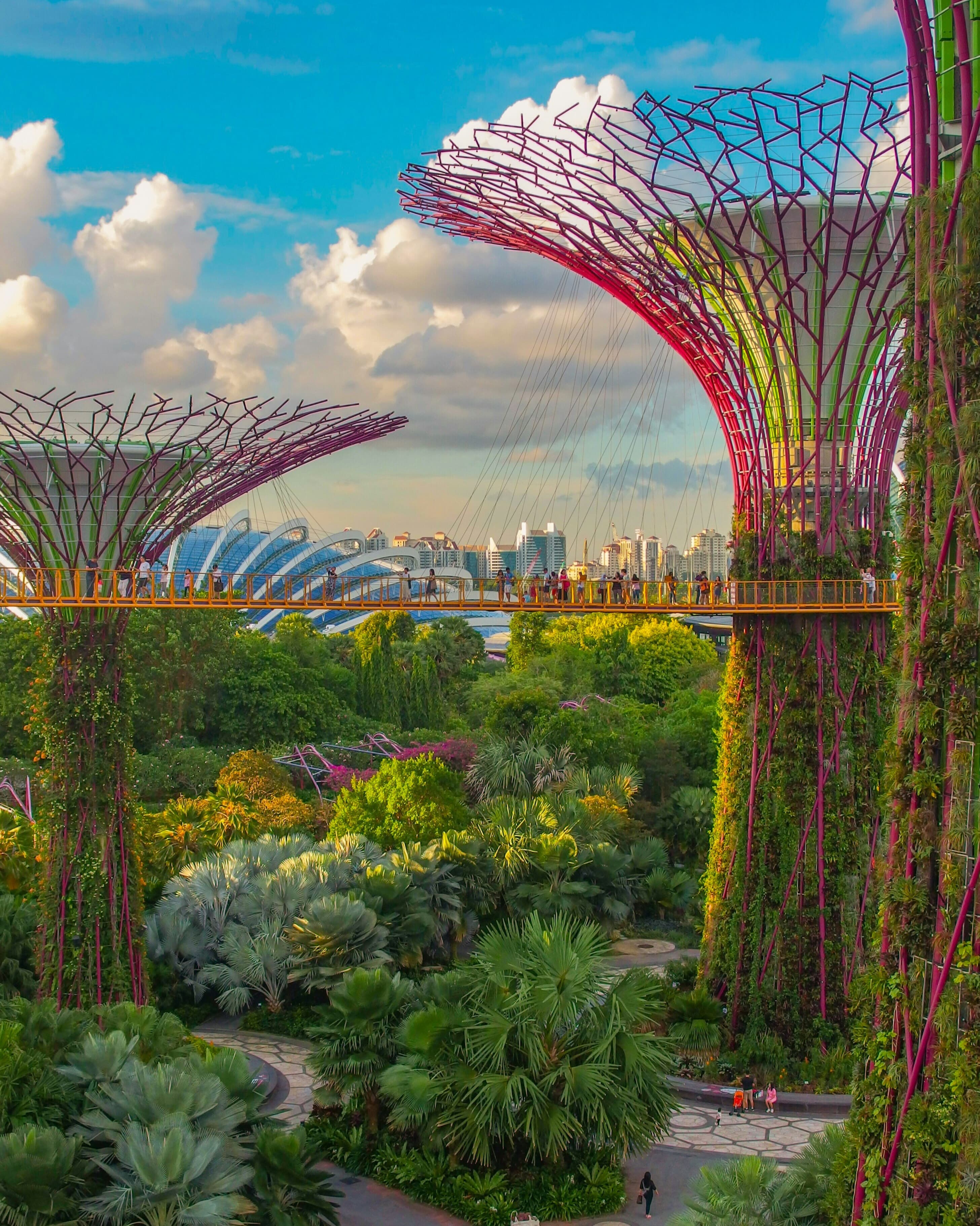 From Hawker Stalls to Sky Gardens: Finding Magic in Singapore curated by Jessica Newberry