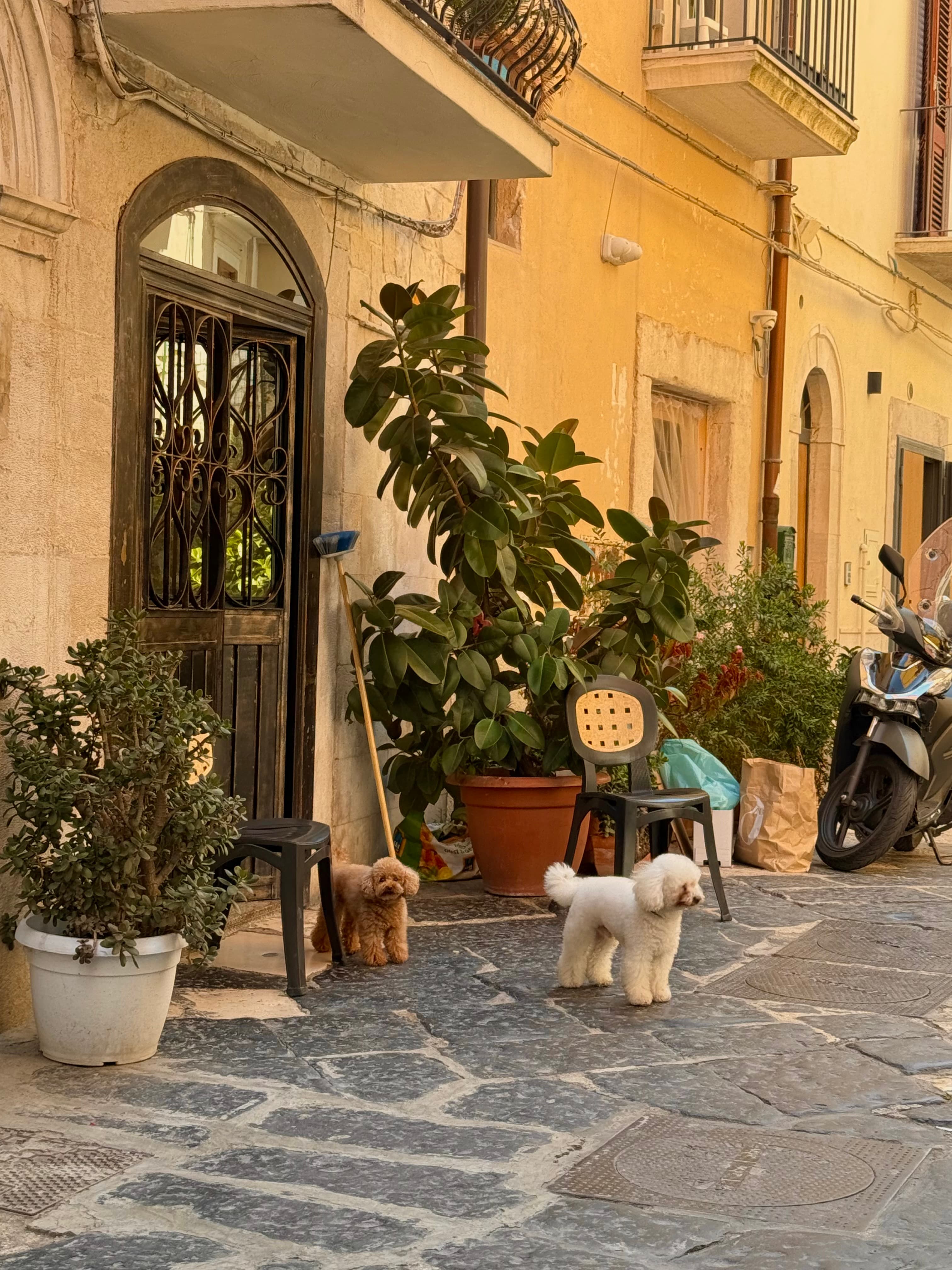 Puglia’s Living Art: Pasta, Culture, and the Warmth of Bari curated by Julia DePinto