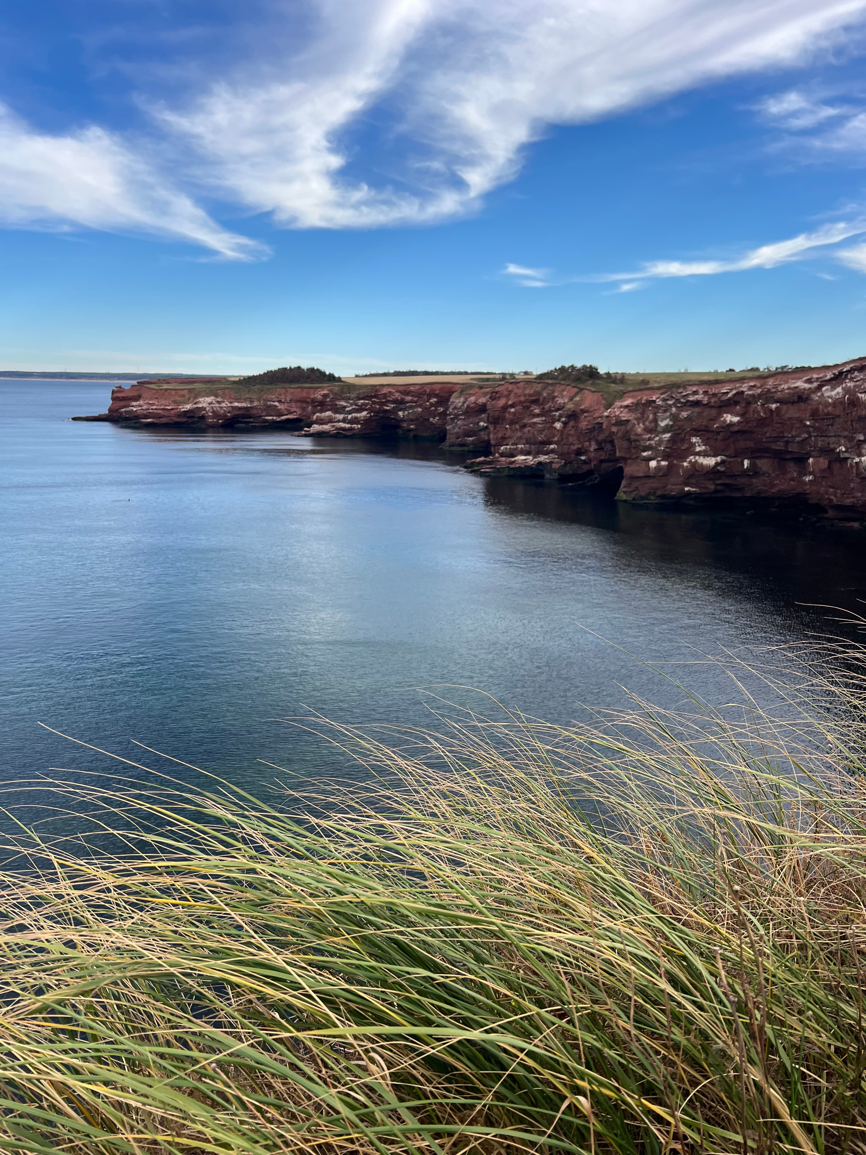 Whispers of Avonlea: A Literary Adventure on Prince Edward Island & Nova Scotia curated by Lisa Terry
