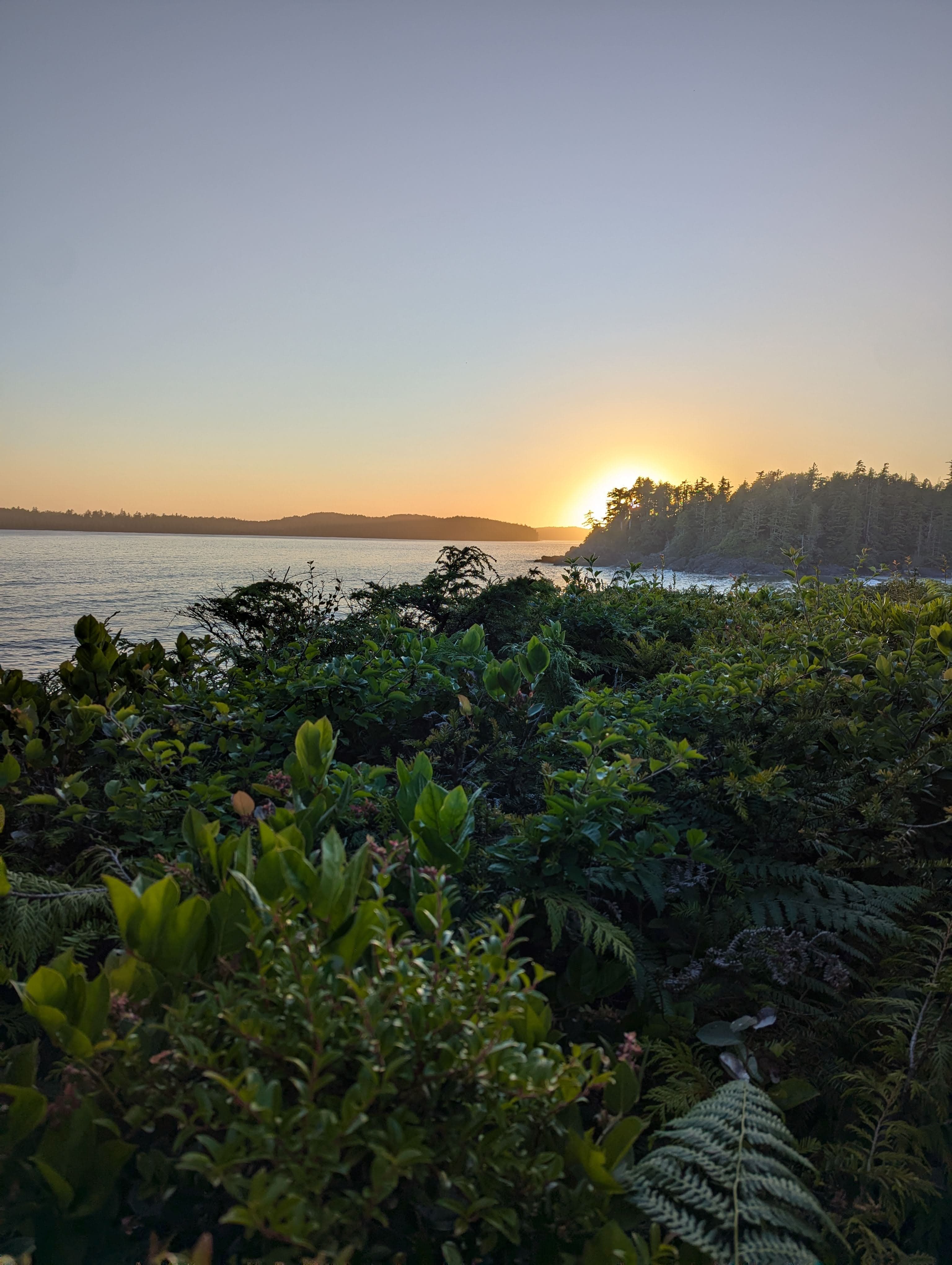 Coastal Romance Awaits: A Couple’s Getaway to Tofino, British Columbia curated by Nell Baker