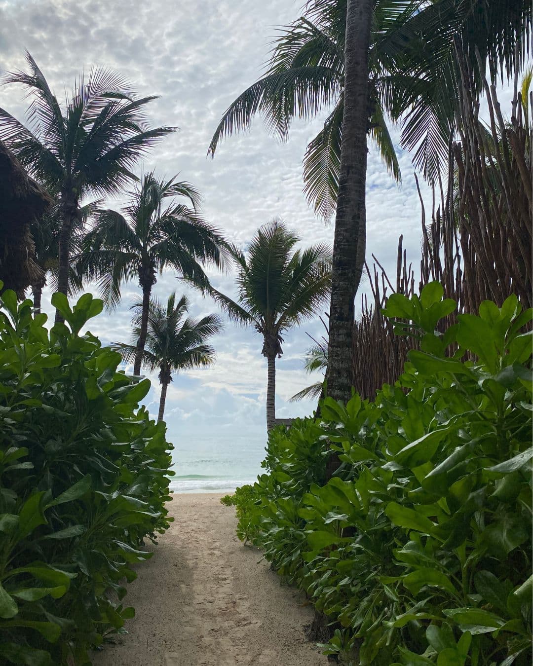 Travel photo 4