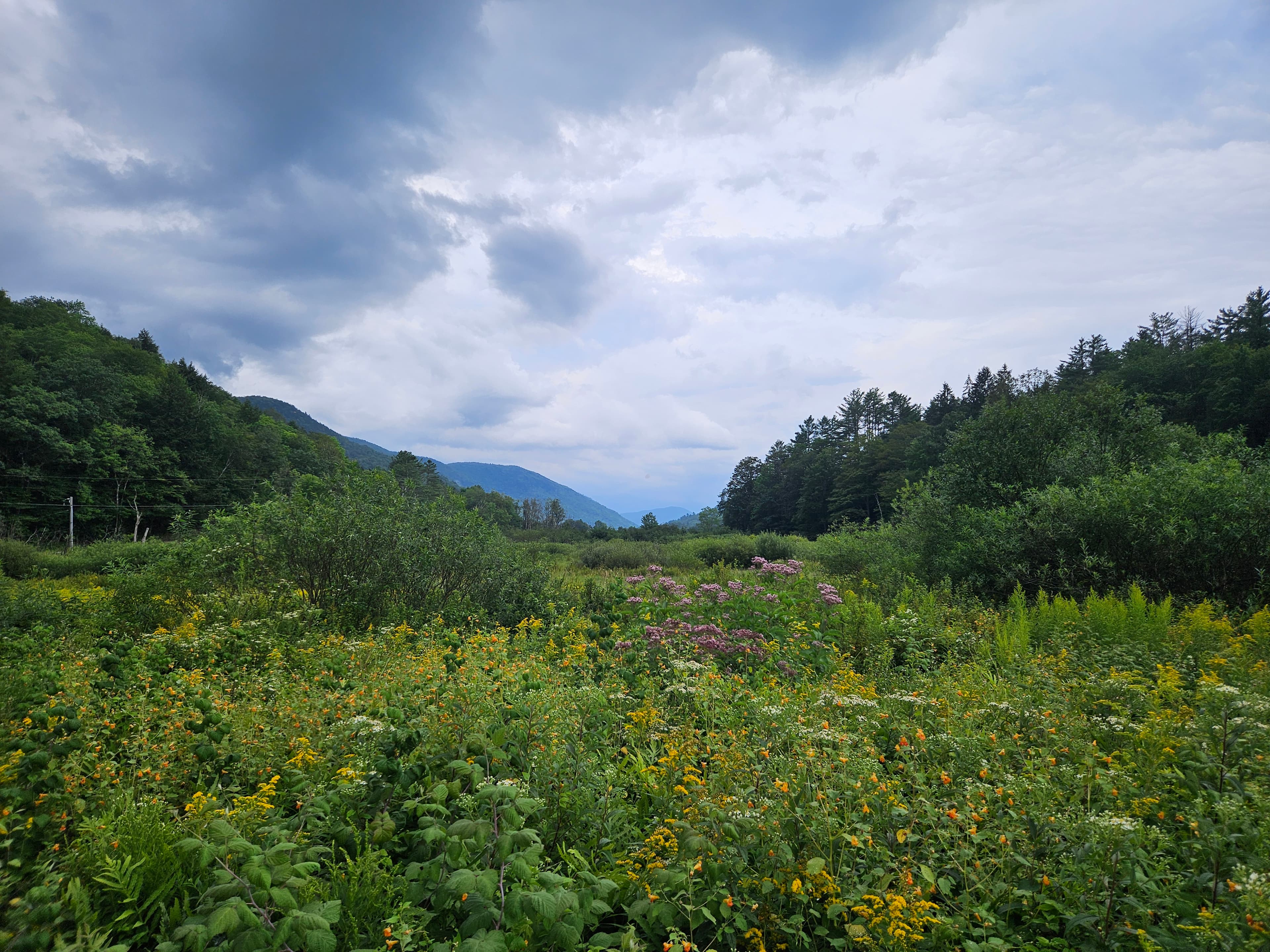 Travel photo 2