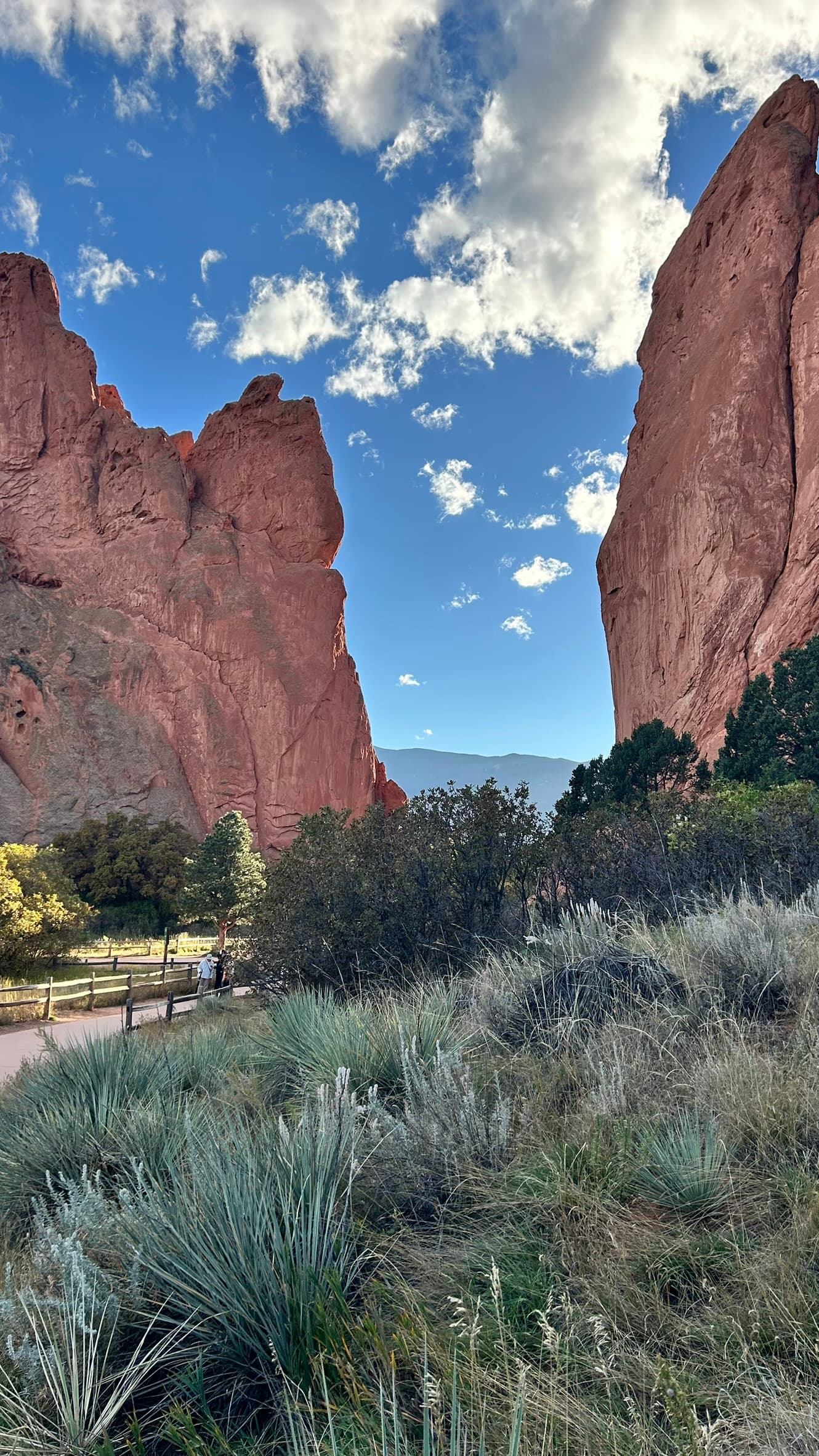 Family Adventures Around Denver curated by Jessica Pedrick