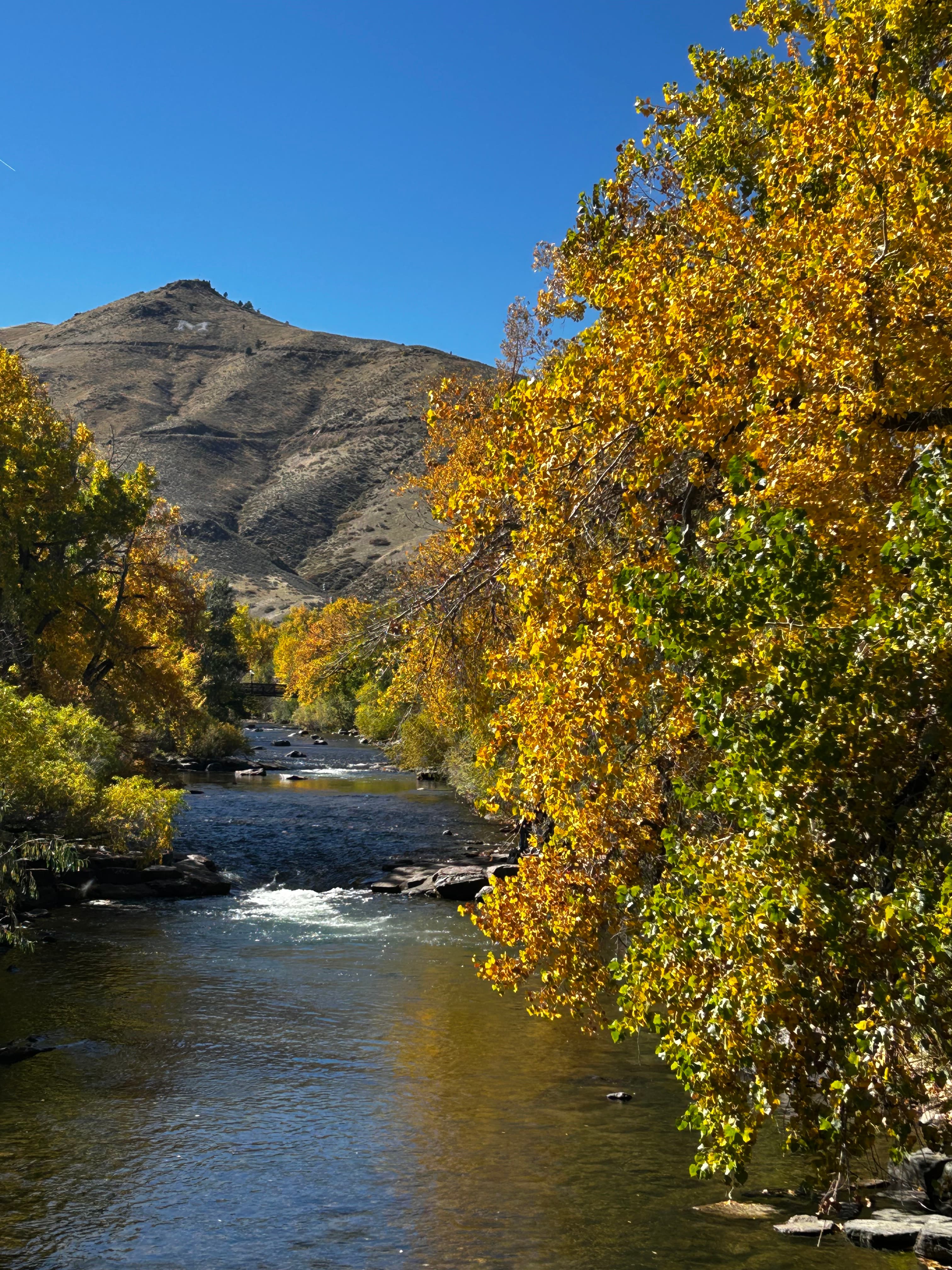 Colorado Fall Foliage Trip curated by Heidie Haynes