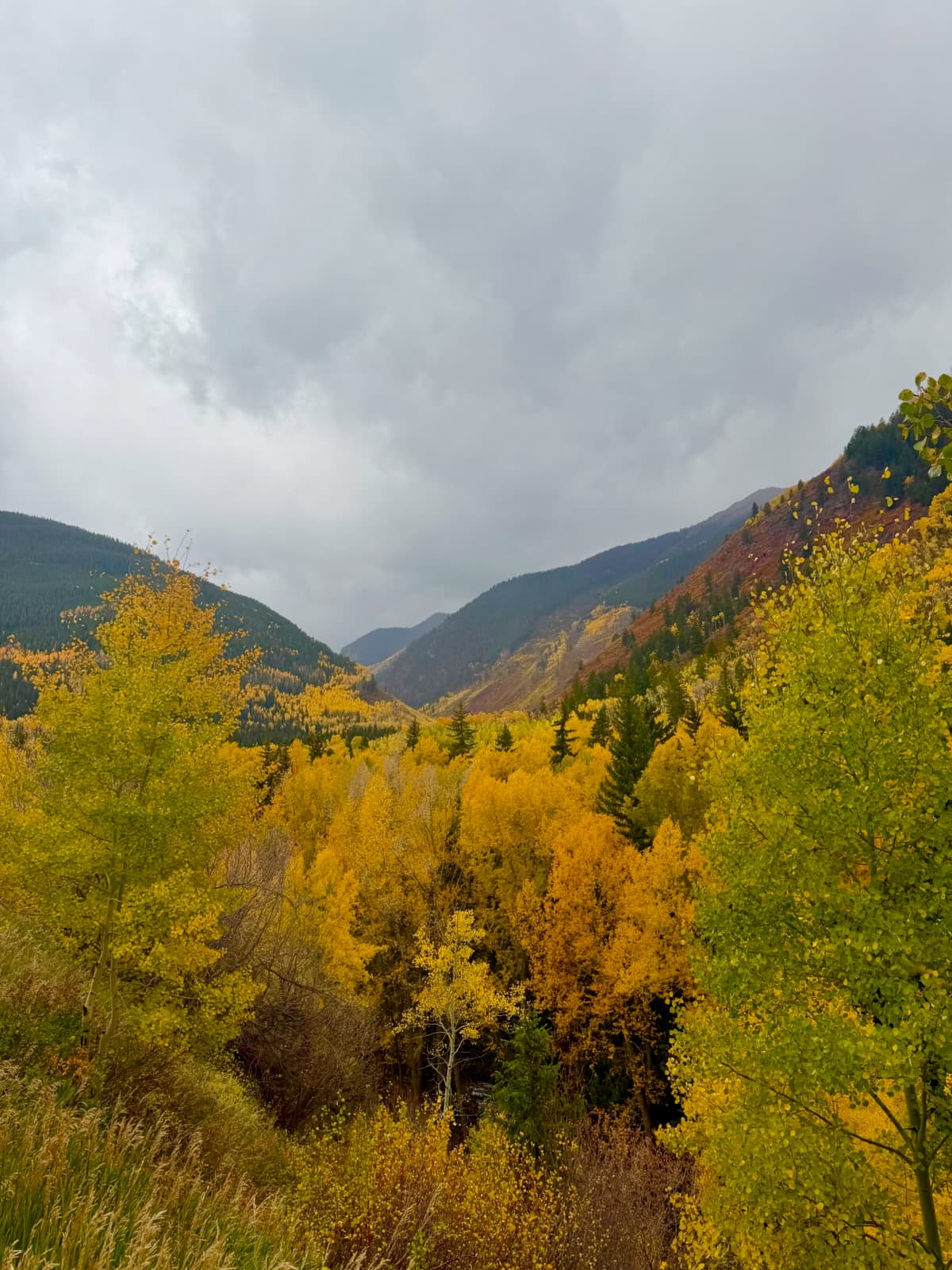 Peaks, Pines & Pumpkin Spice: A Fall Getaway to Aspen & Snowmass curated by Bri Ivar