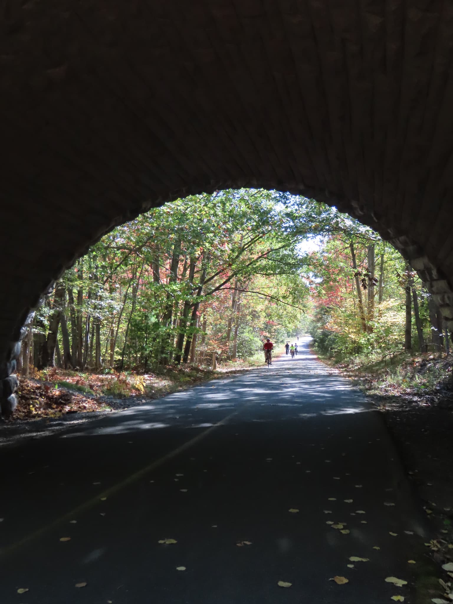 Fall in Bar Harbor: Lobster, Sunrises & Acadia National Park curated by Brittany O'Brien
