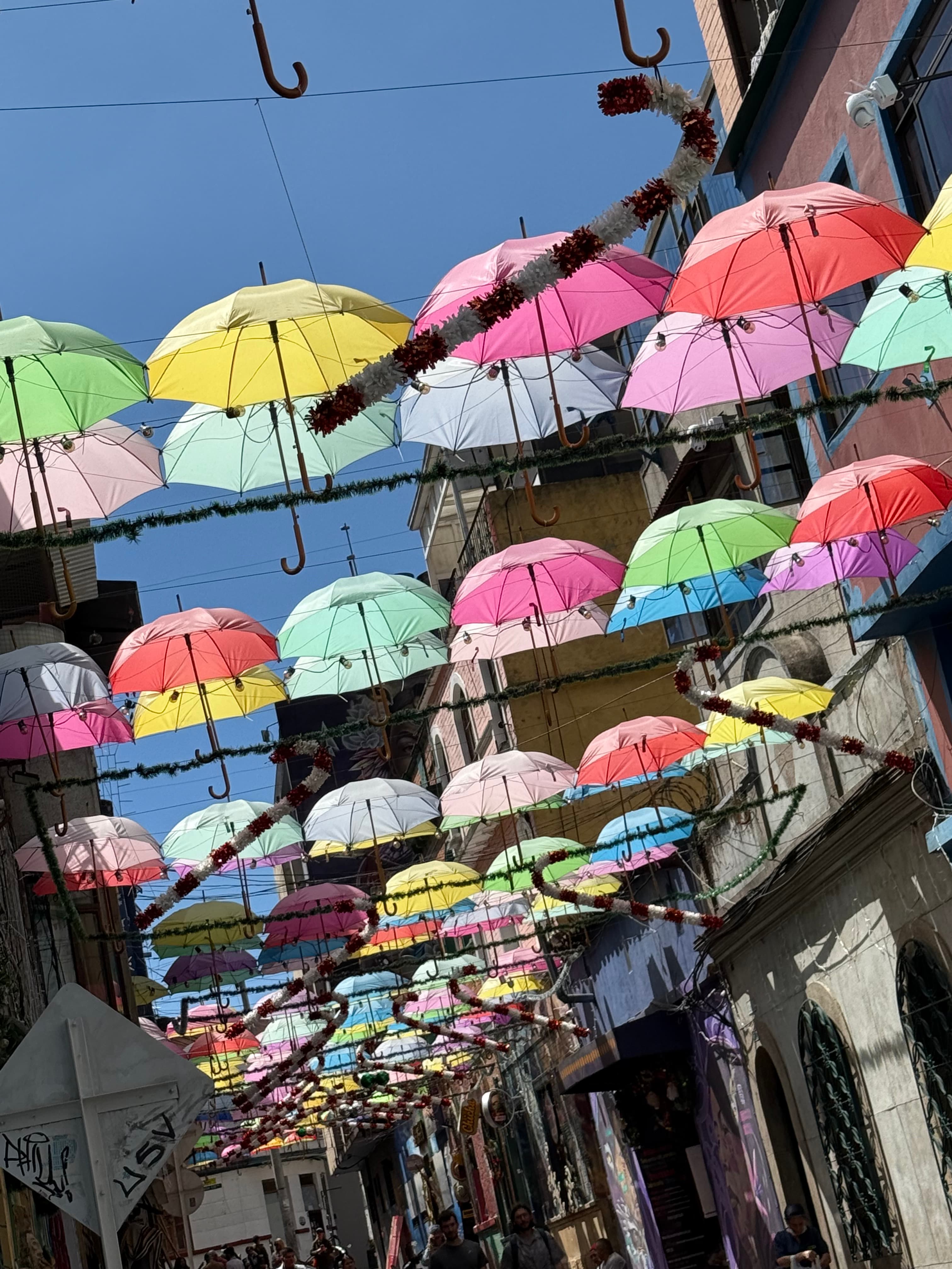 Bogotá: The Missing Linke Edition curated by Katharine Linke