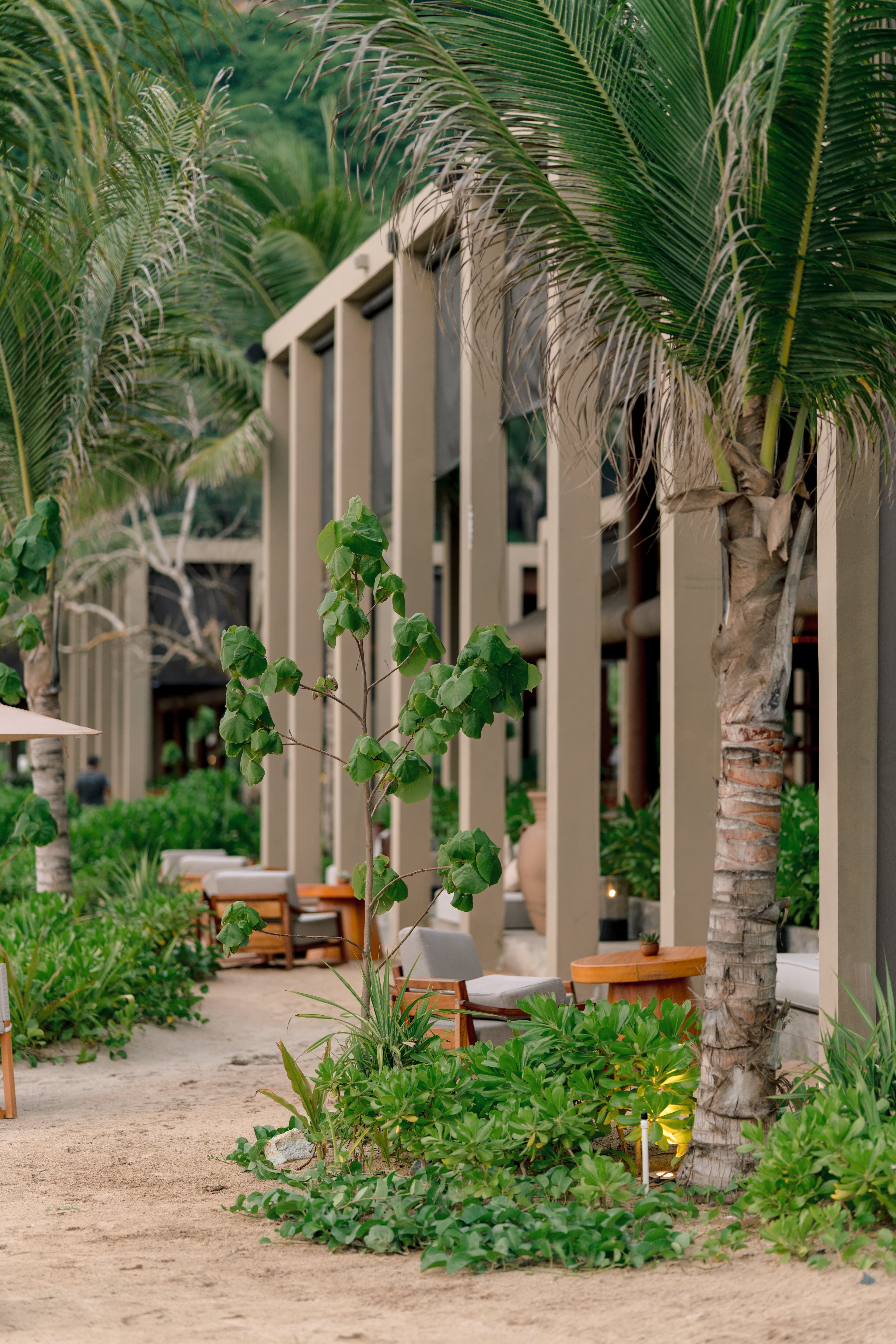 Rosewood Mandarina: A Warm, Luxurious Welcome on Riviera Nayarit curated by Marlan Willardson