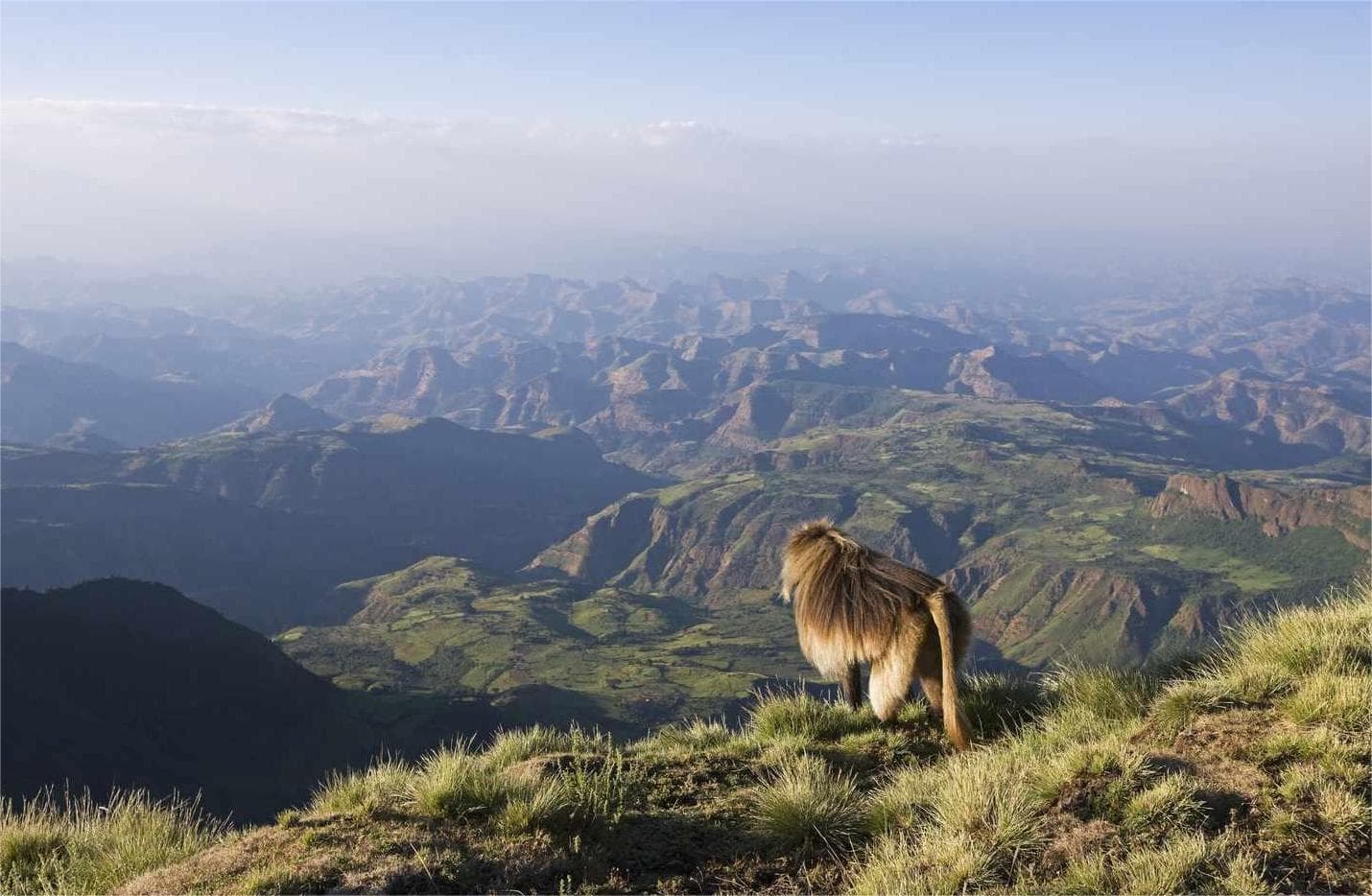 Ethiopia: A Journey Through Time, Culture & Wilderness curated by Assefa Argachew
