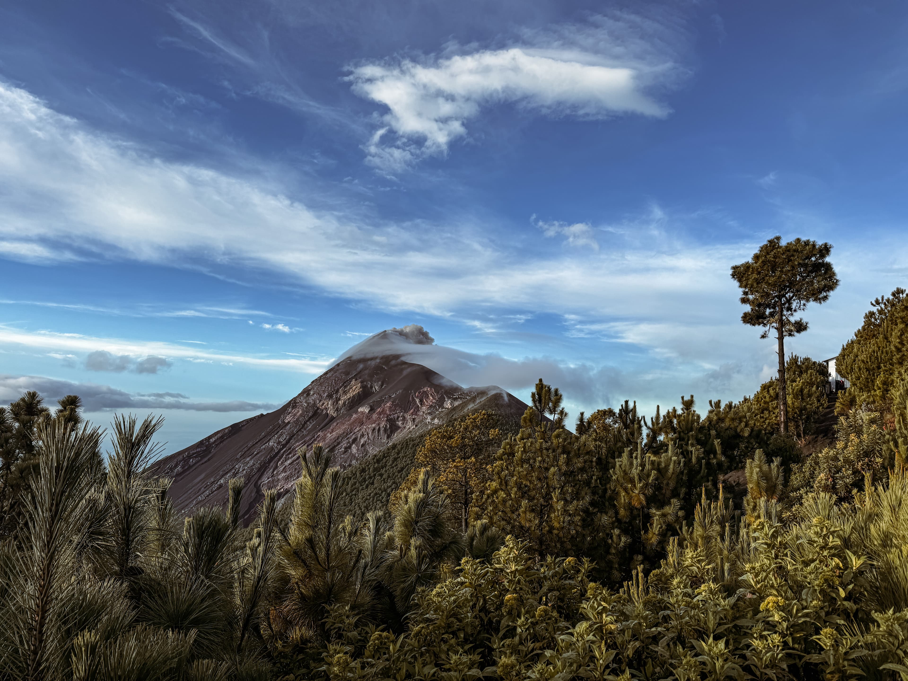 Hiking Up an Active Volcano in Guatemala: What Could Go Wrong? curated by Victoria Uribe