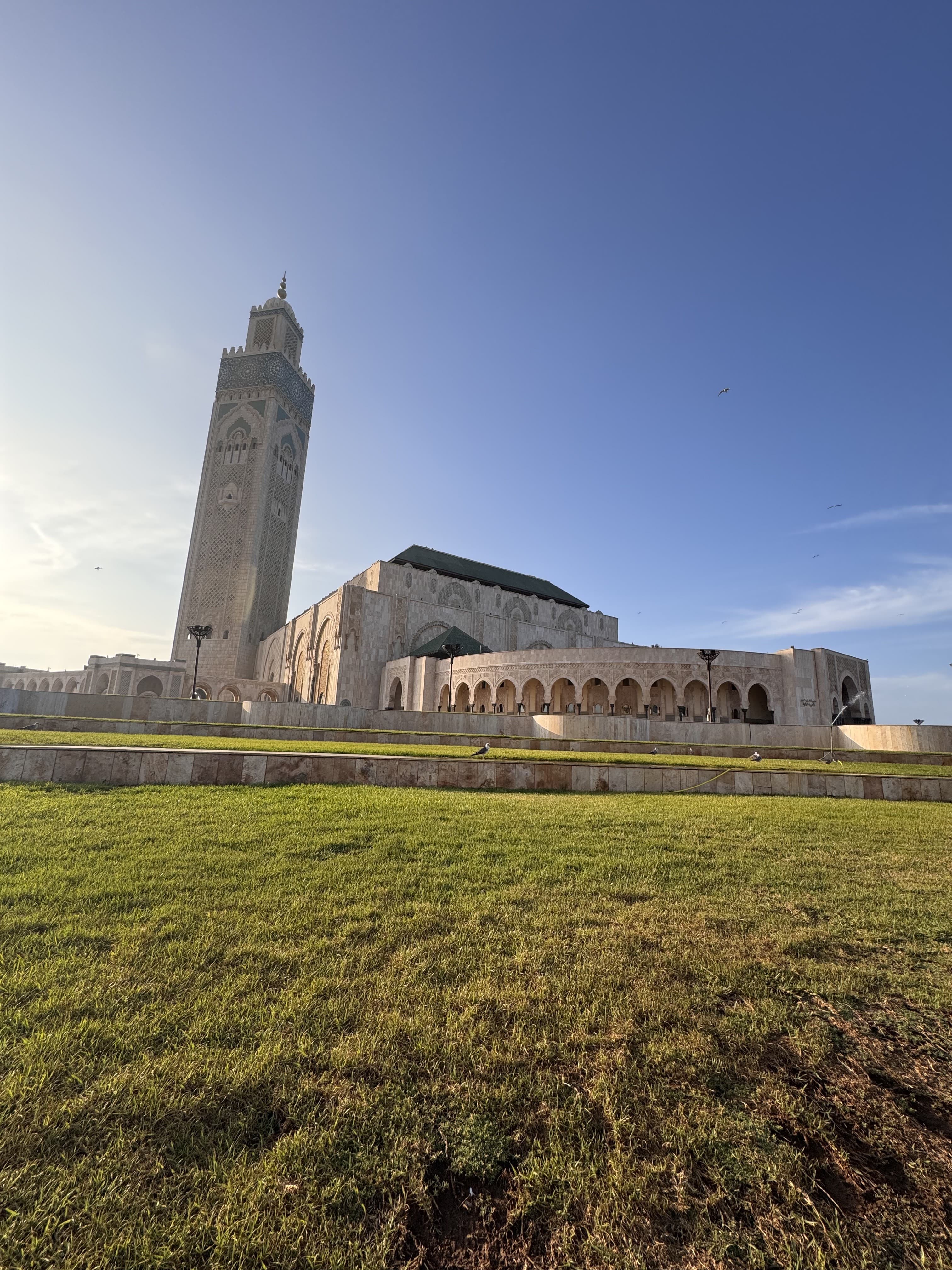 On the Edge of Africa: Casablanca, Morocco curated by Sam Acevedo