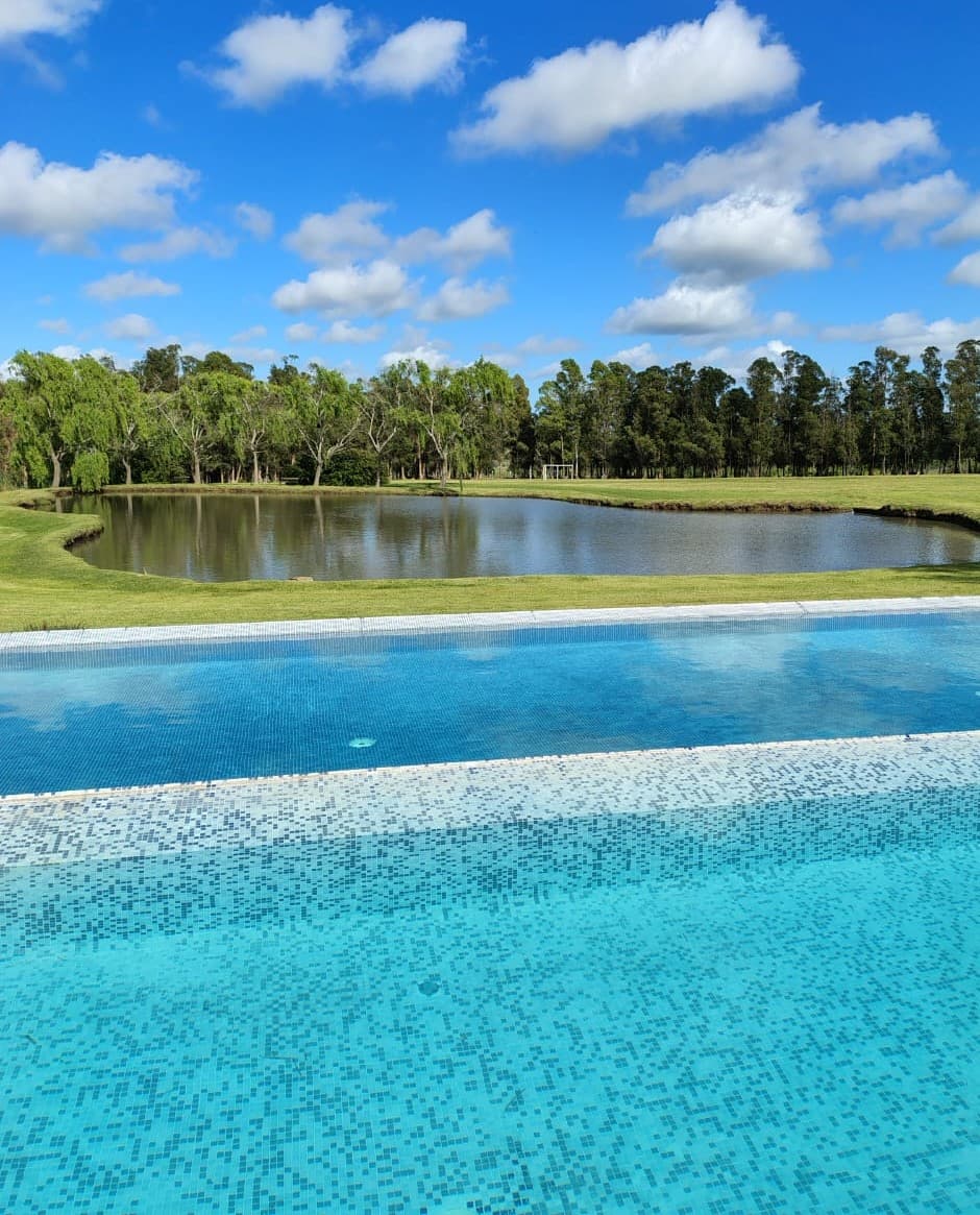 Rediscovering Home: My Stay at Regency Park Hotel, Montevideo curated by Silvana Analía Guzmán Saavedra