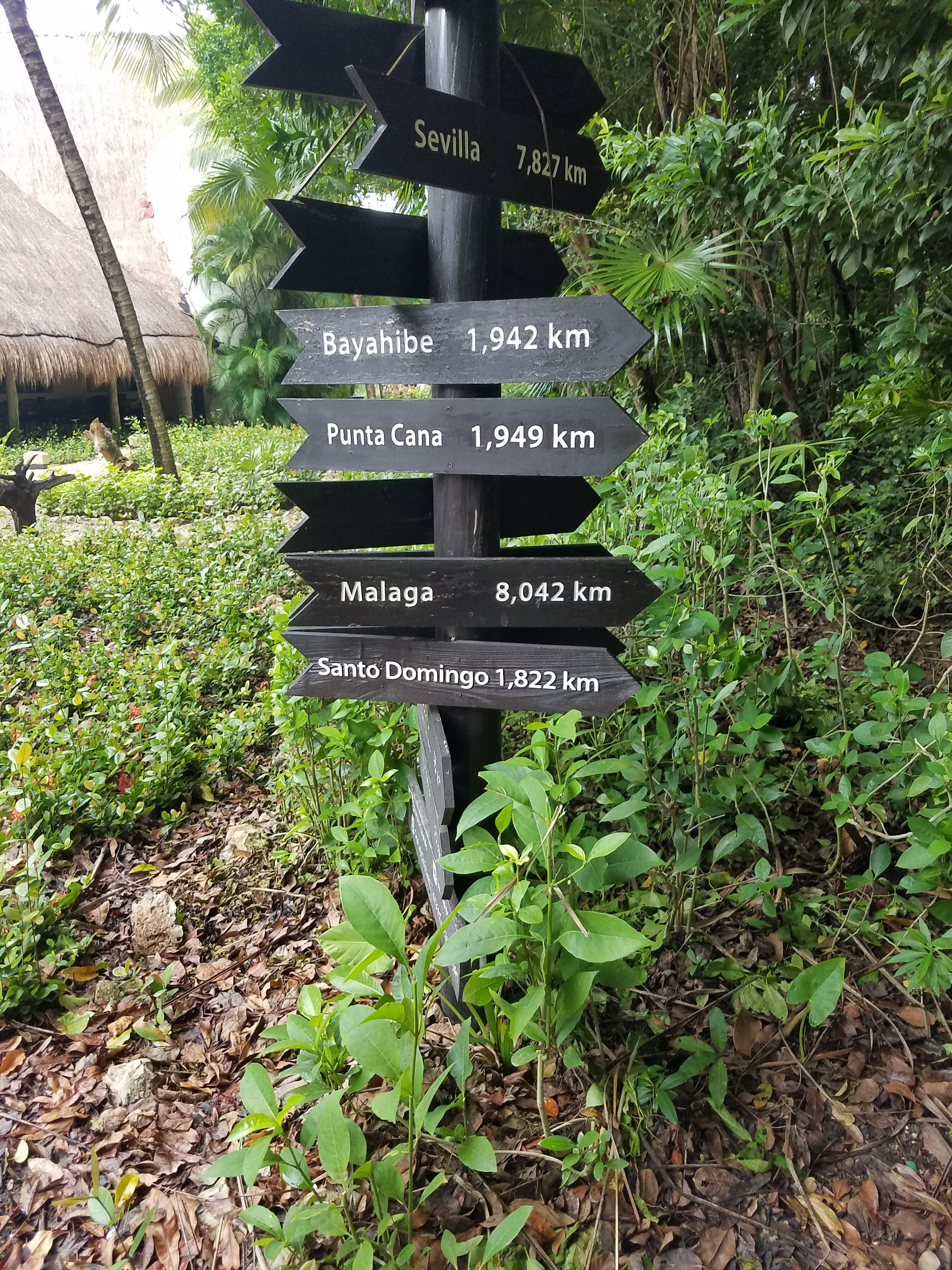 Travel photo 4