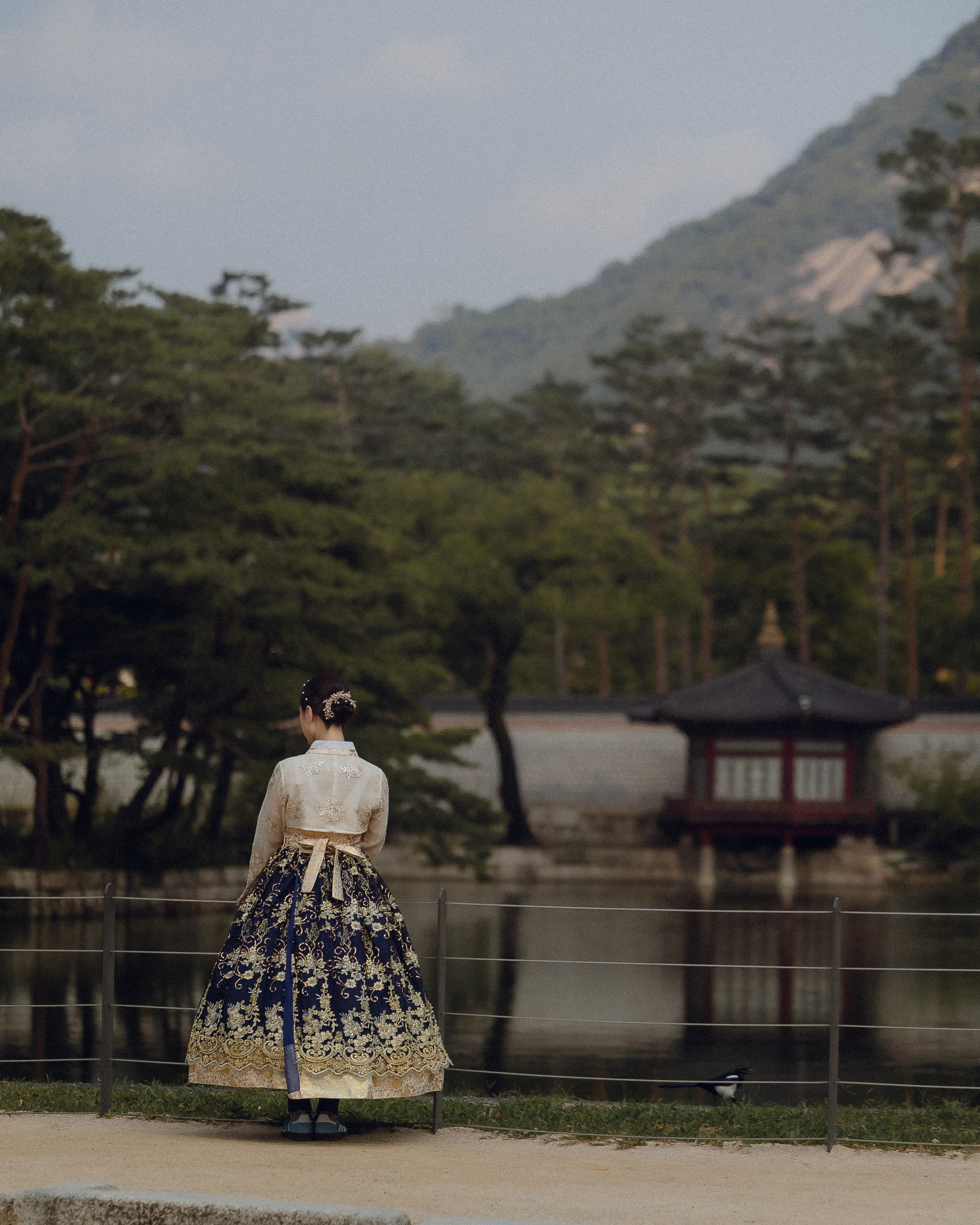 Postcards from Seoul: Your Guide to the Land of Morning Calm curated by Marcus Bruzzese