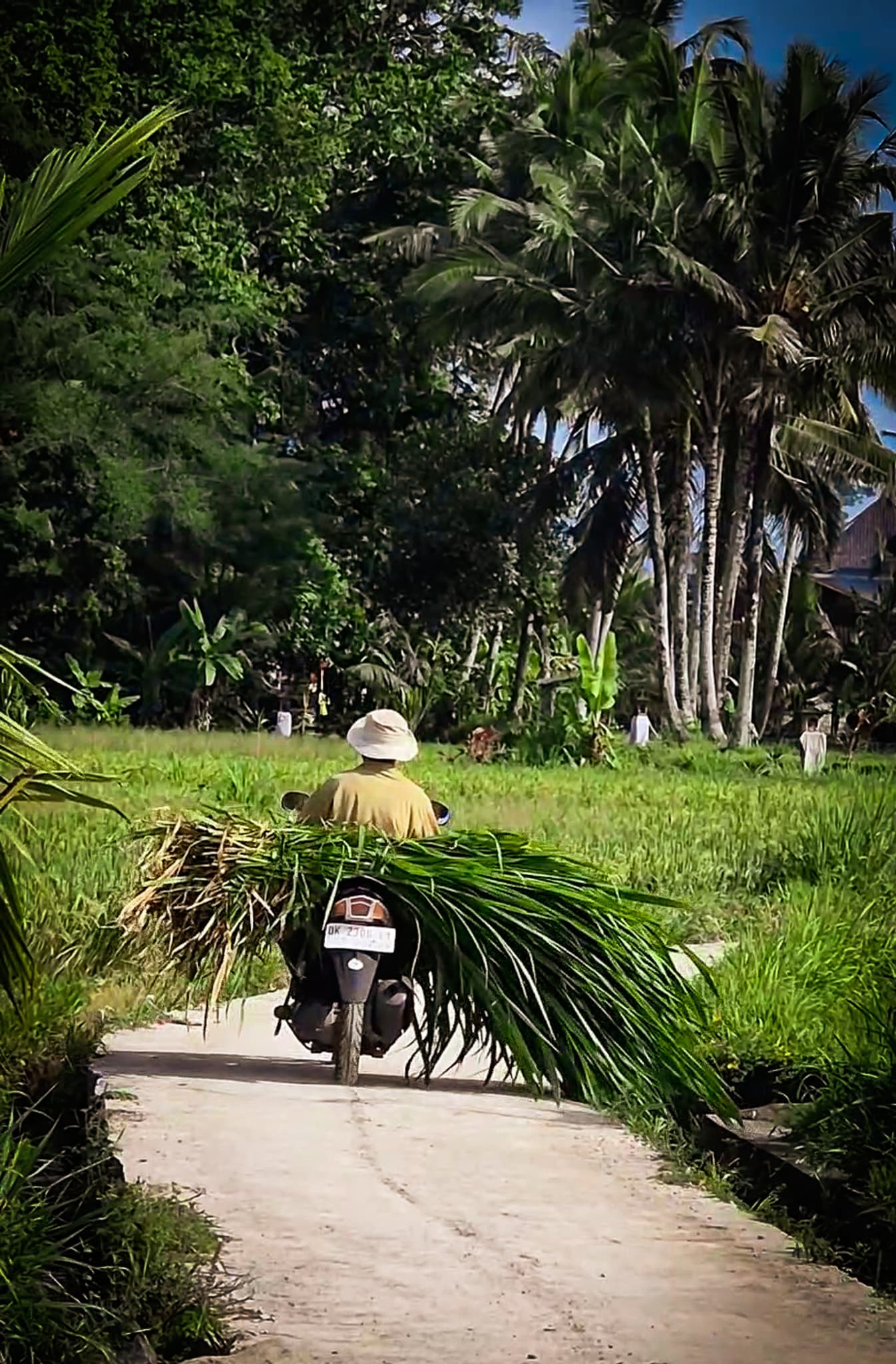 Inside My Favorite Jungle Hideaway: Alila Ubud by Hyatt curated by Michael Huffman