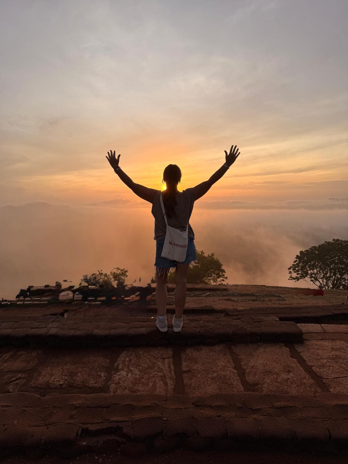 Understanding Sri Lanka: A Guided Tour curated by Selva Rodriguez