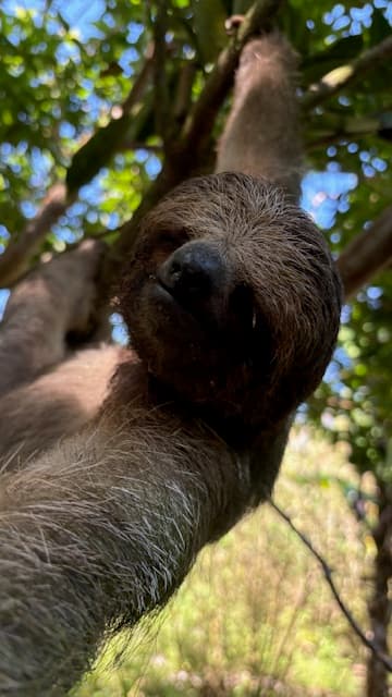 7 Unforgettable Days in Costa Rica: A Perfect Family Adventure curated by Courtney Edwards