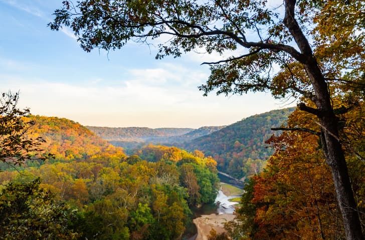 The Bluegrass Loop: A 5-Day Dive into Kentucky's Wild Heart curated by Marjorie Dufek