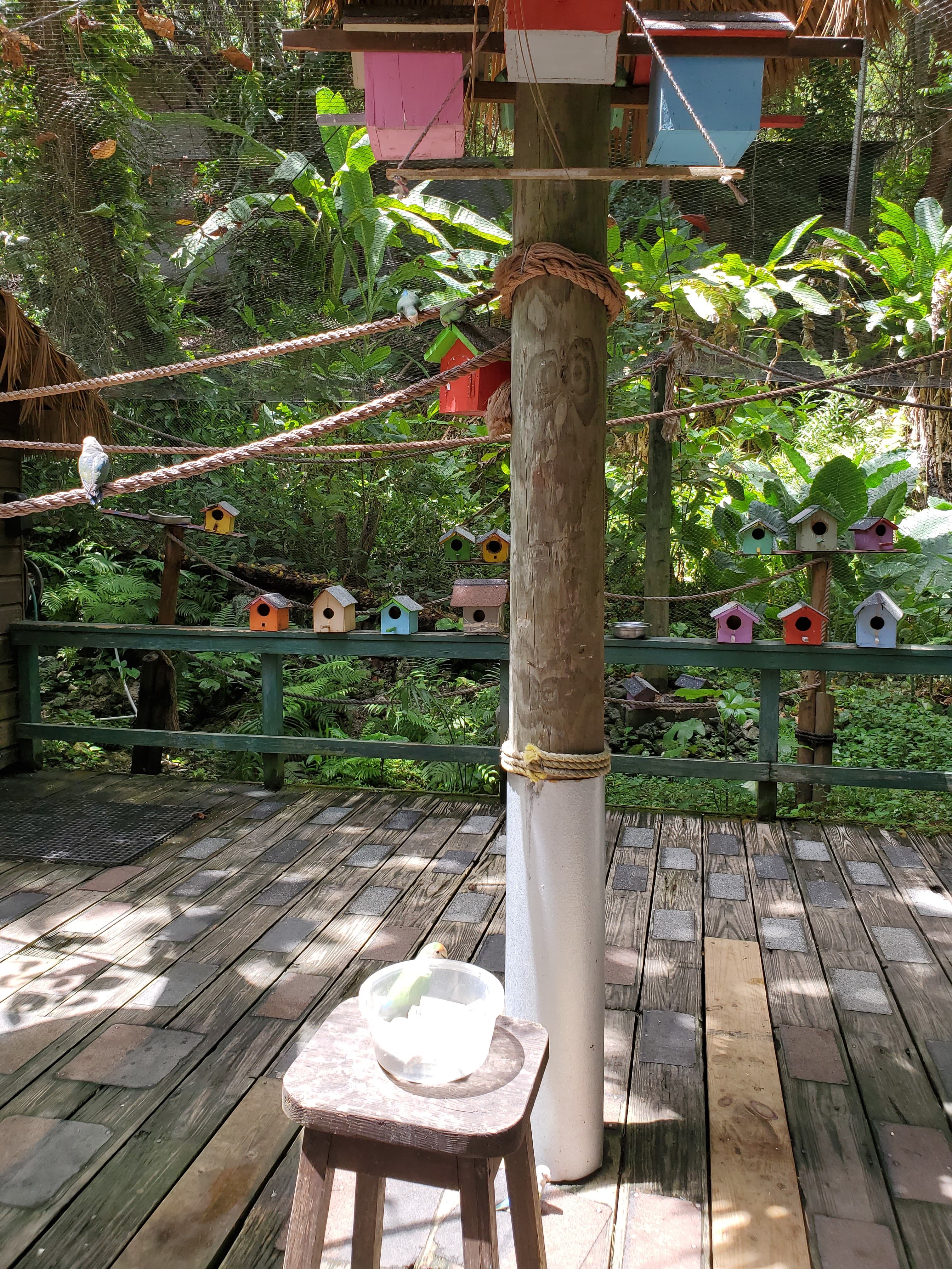 Travel photo 1