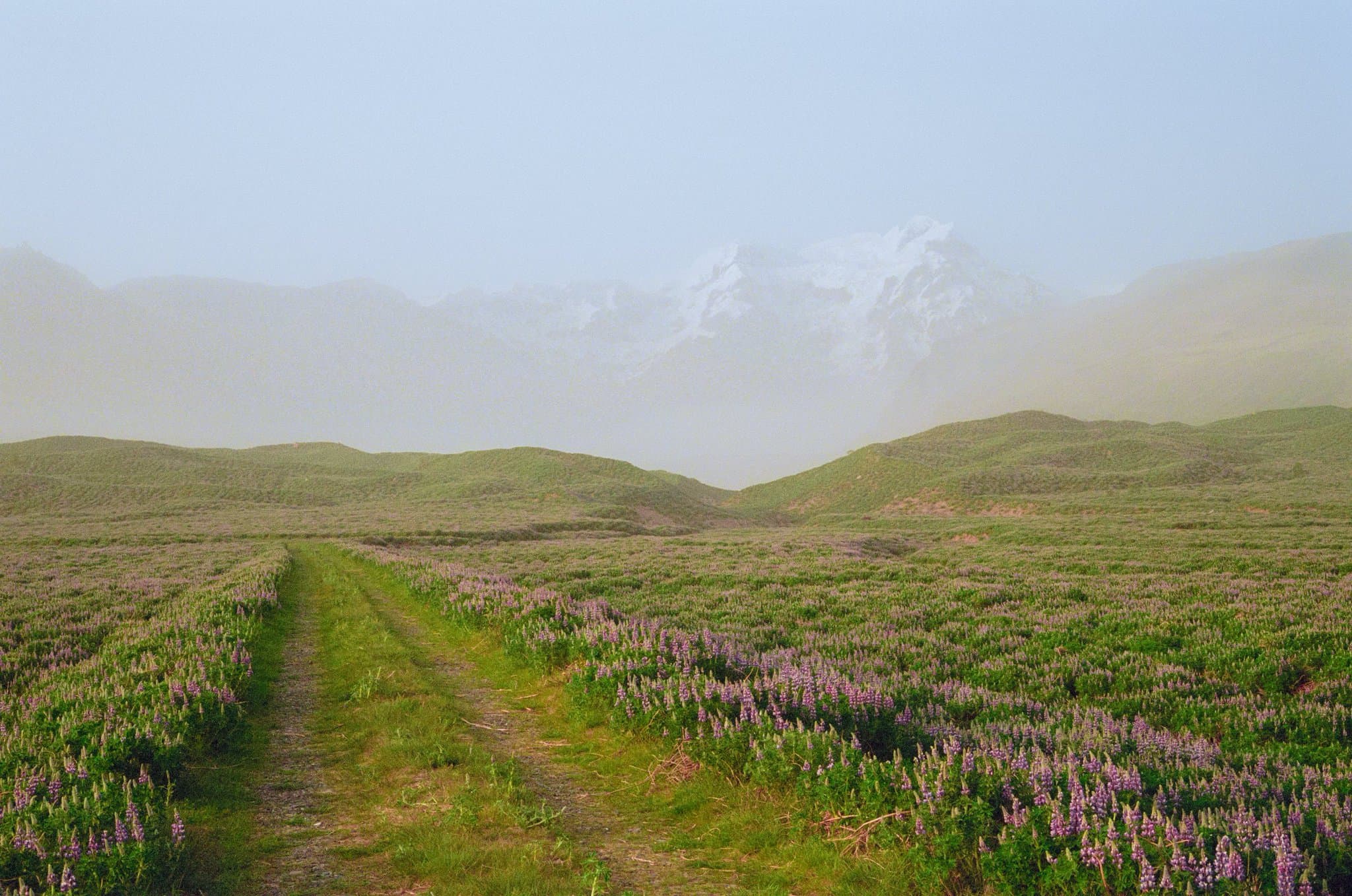 The Ultimate 7-Night Iceland Itinerary curated by Caroline McCray