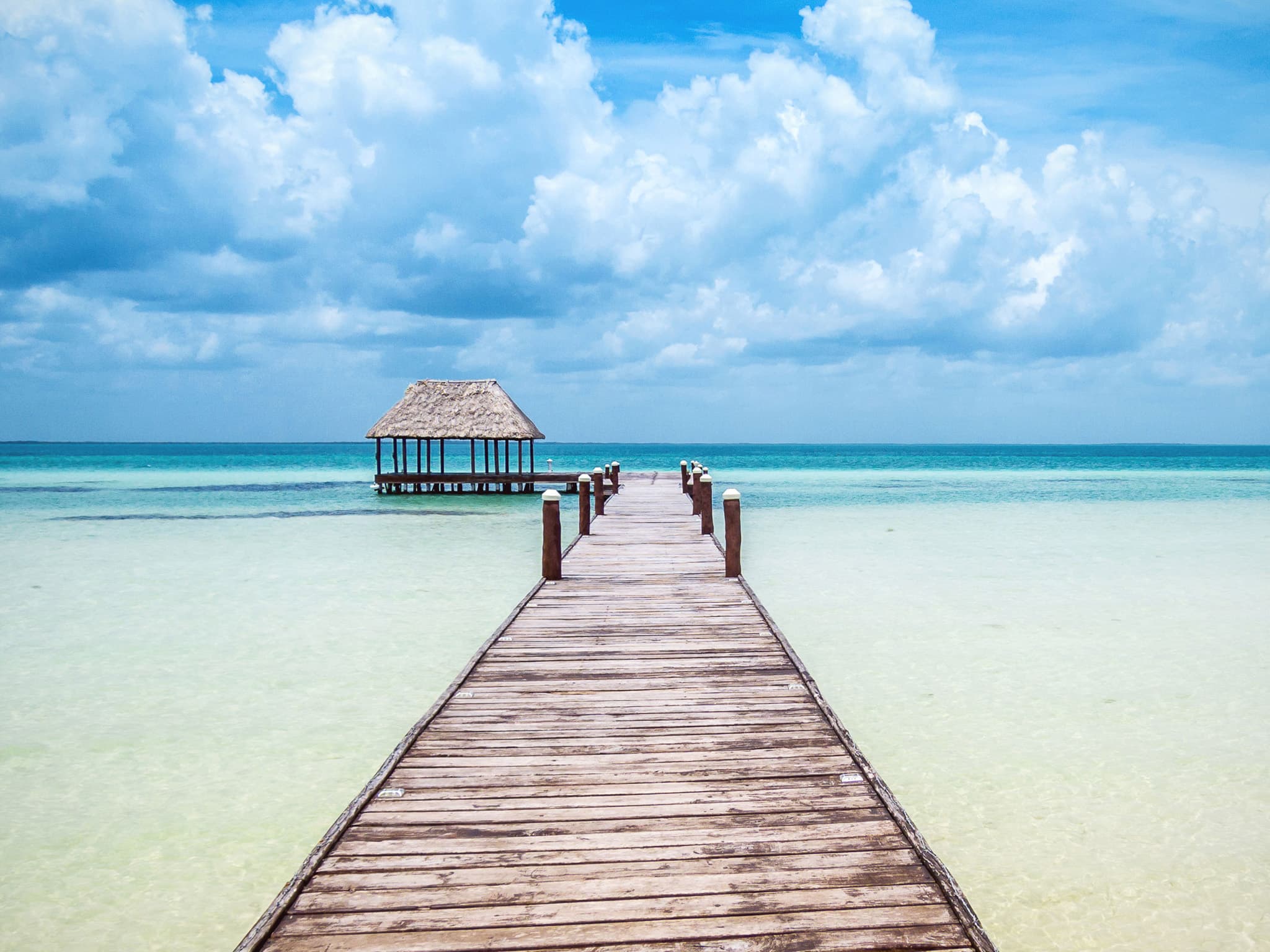 Holbox Honeymoon Itinerary: Whale Shark Season 2026 curated by Elizabeth Gonzalez