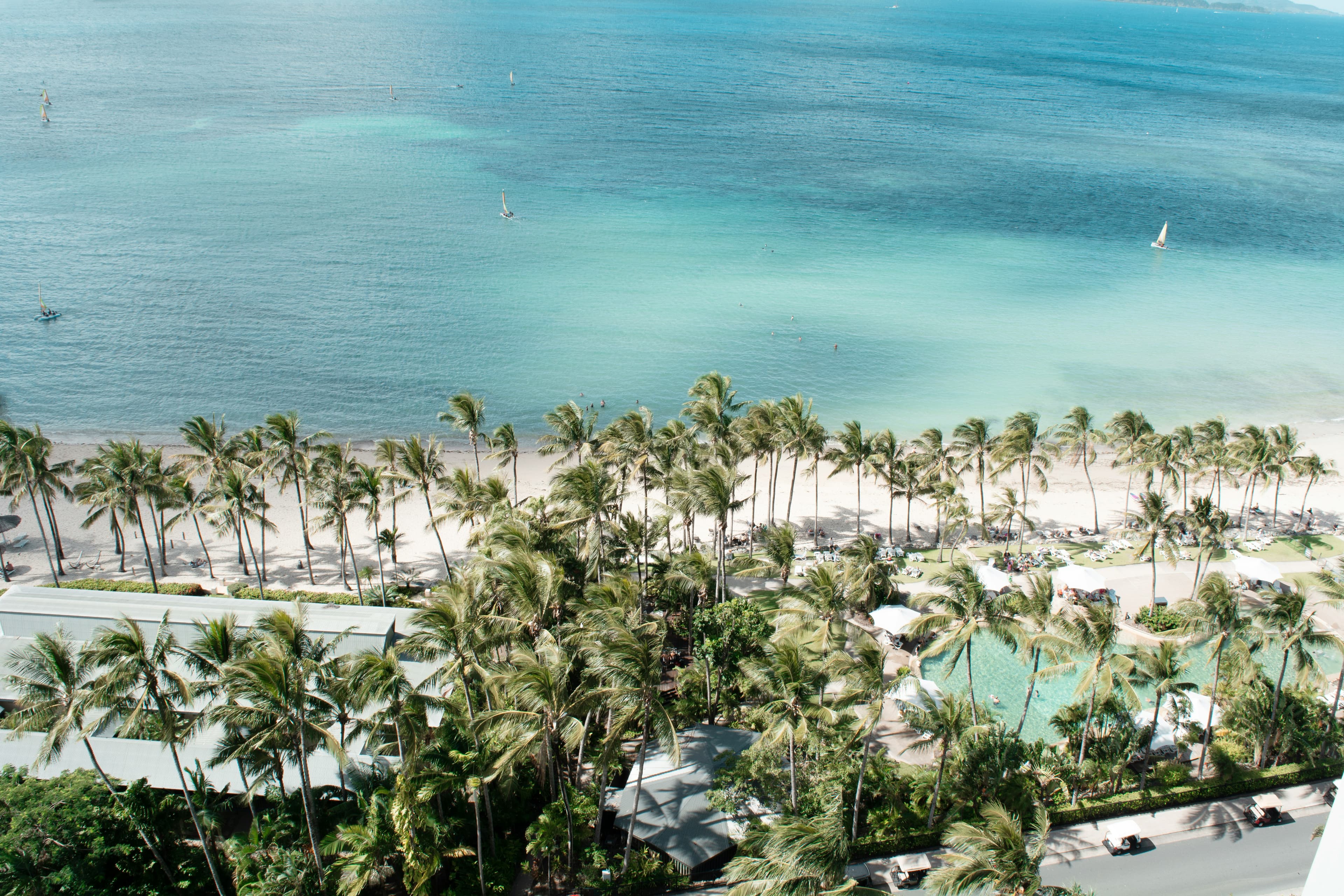 Discover Hamilton Island: Australia's Hidden Paradise curated by Chantelle Moran