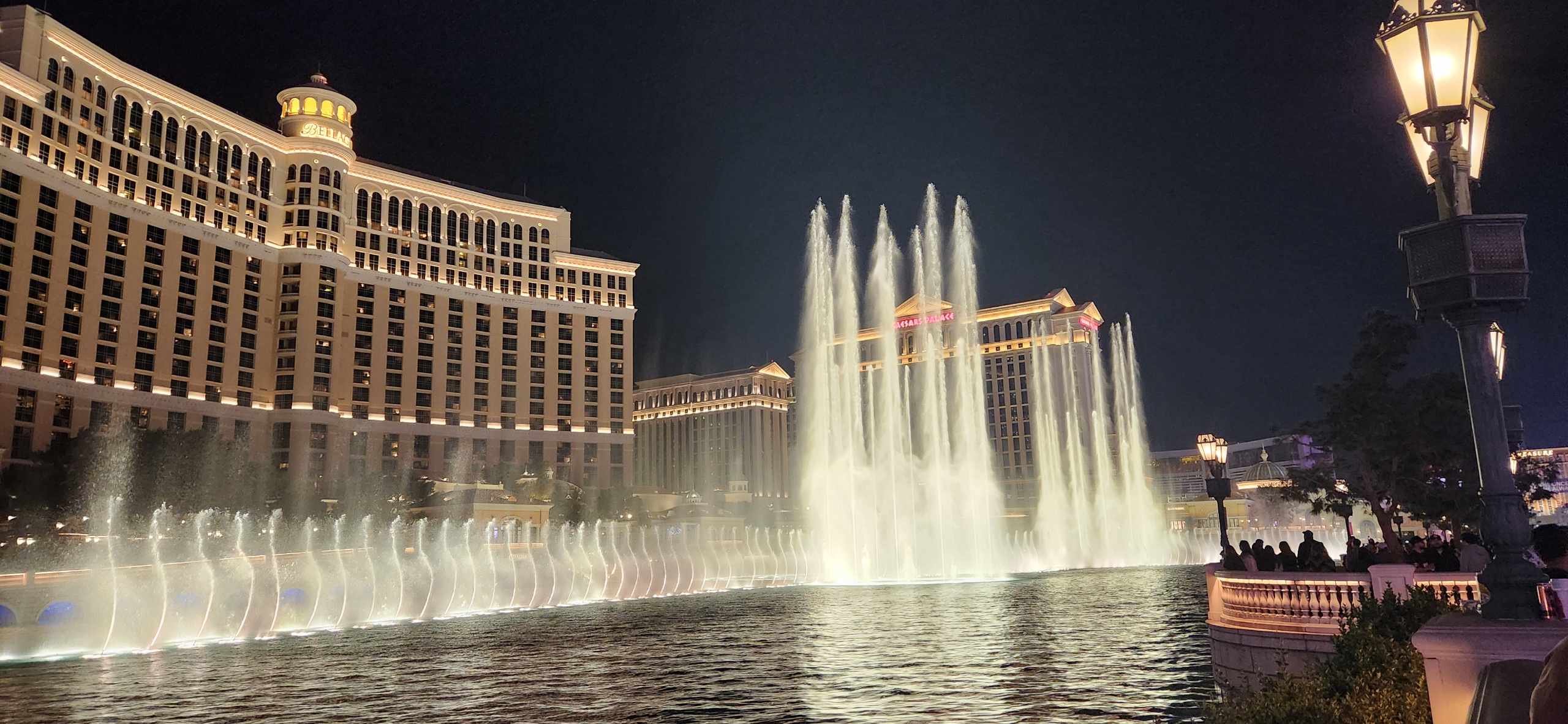 Lights, Laughs, and Late Nights: A Guide to Las Vegas Adventures curated by Teya Reasoner