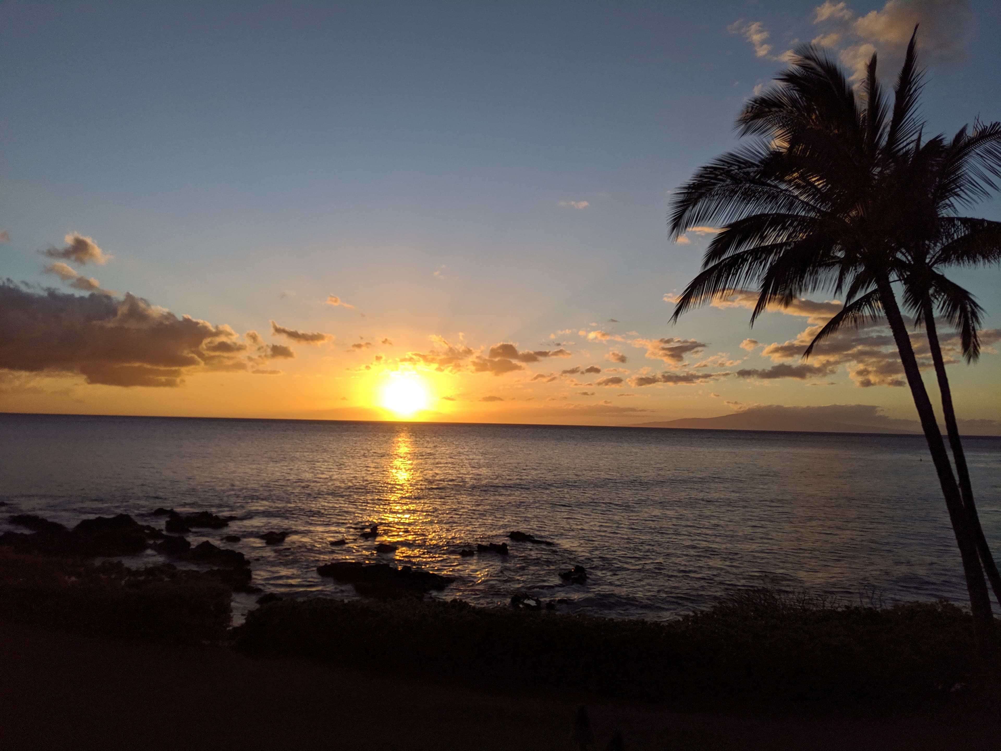 A Family-Friendly Island Escape: Ultimate Maui Adventure and Relaxation Guide curated by Nell Baker