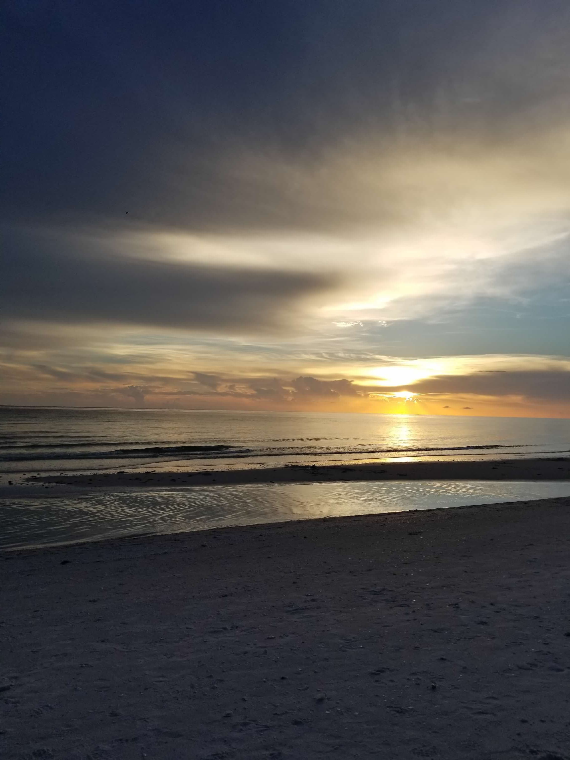Marco Island: A Piece of Paradise on the Gulf Shore curated by Christina Snedeker