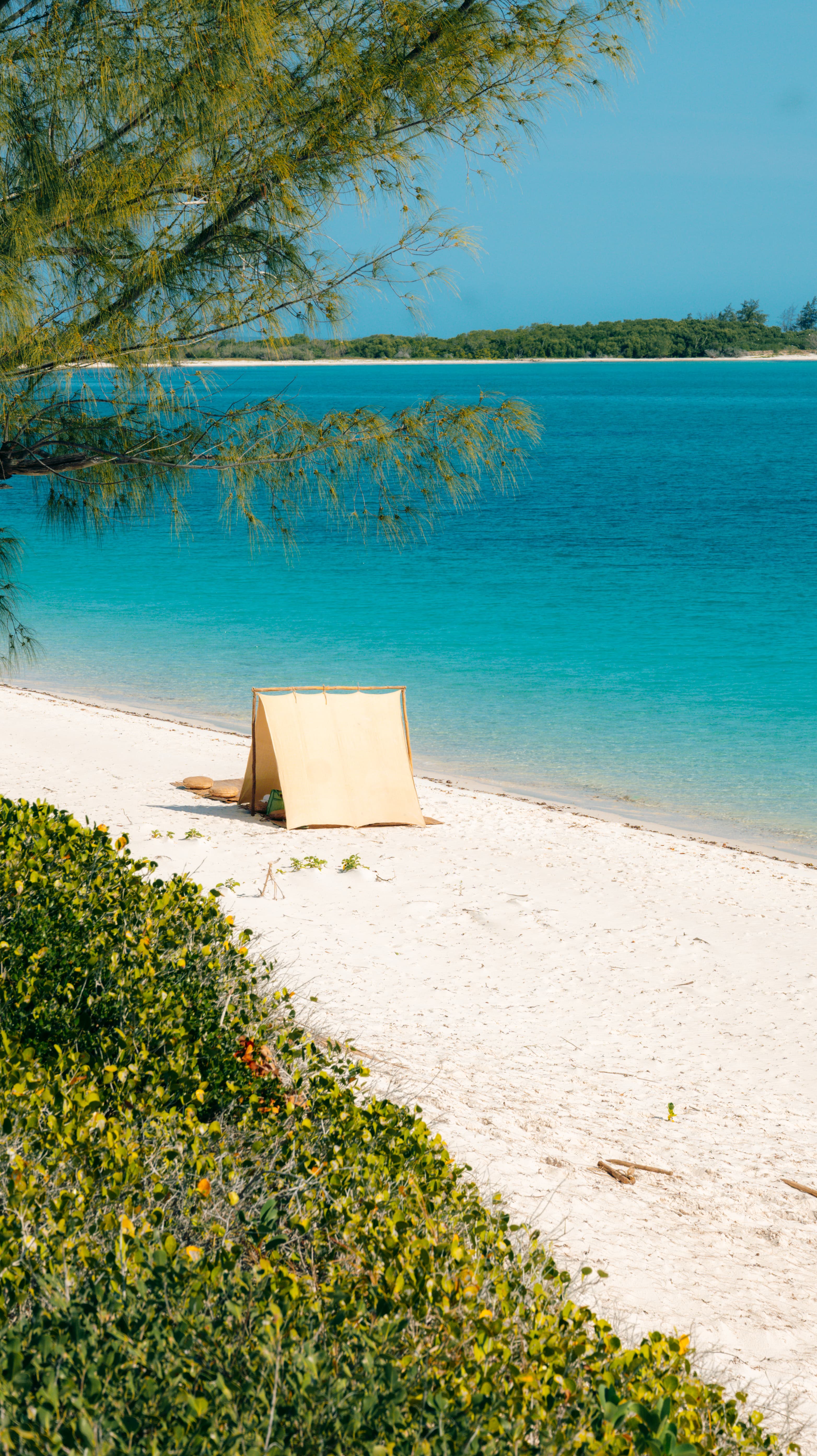 Sustainable Beach Haven in Mozambique: An Escape of a Lifetime curated by Rhonda Martin