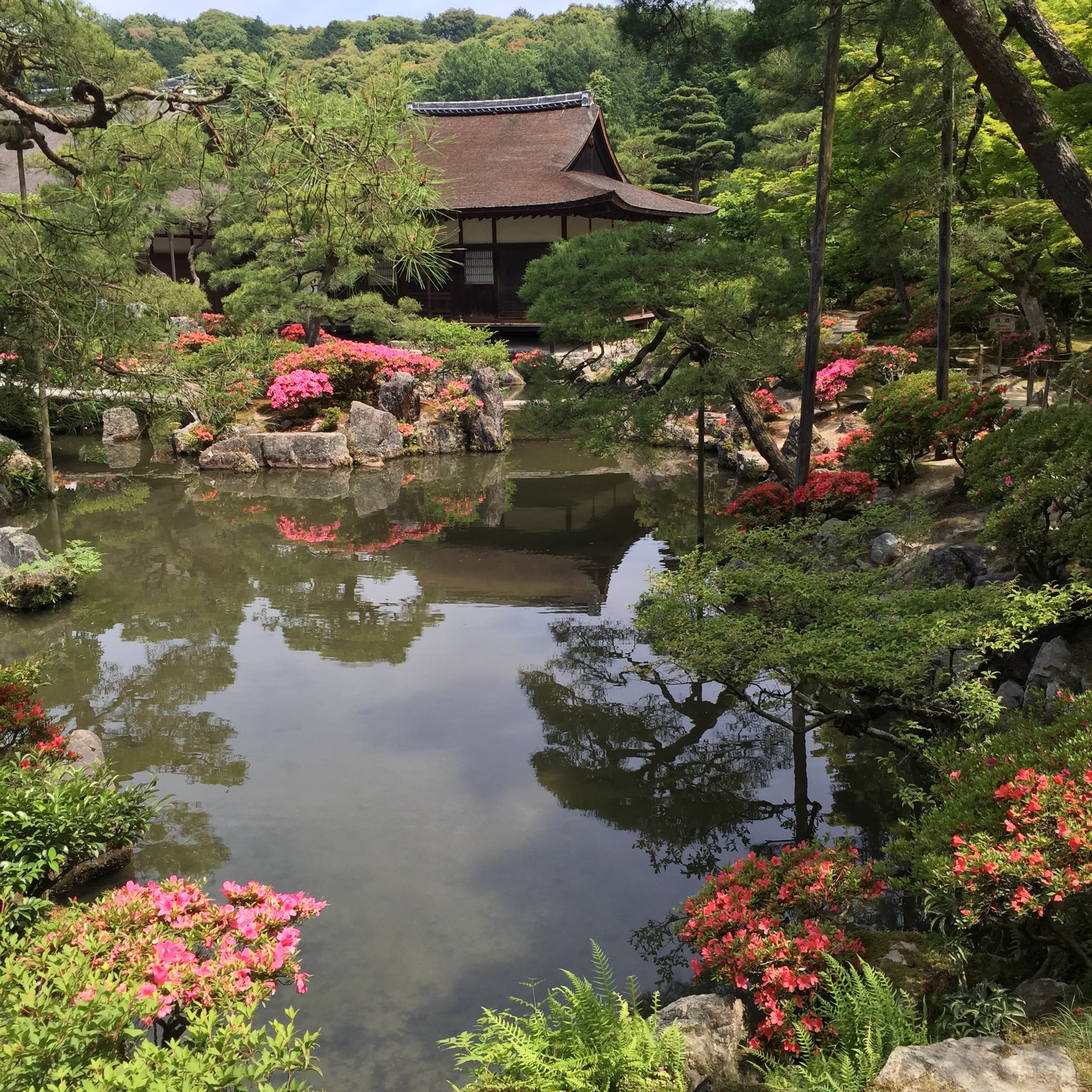 Travel photo 8