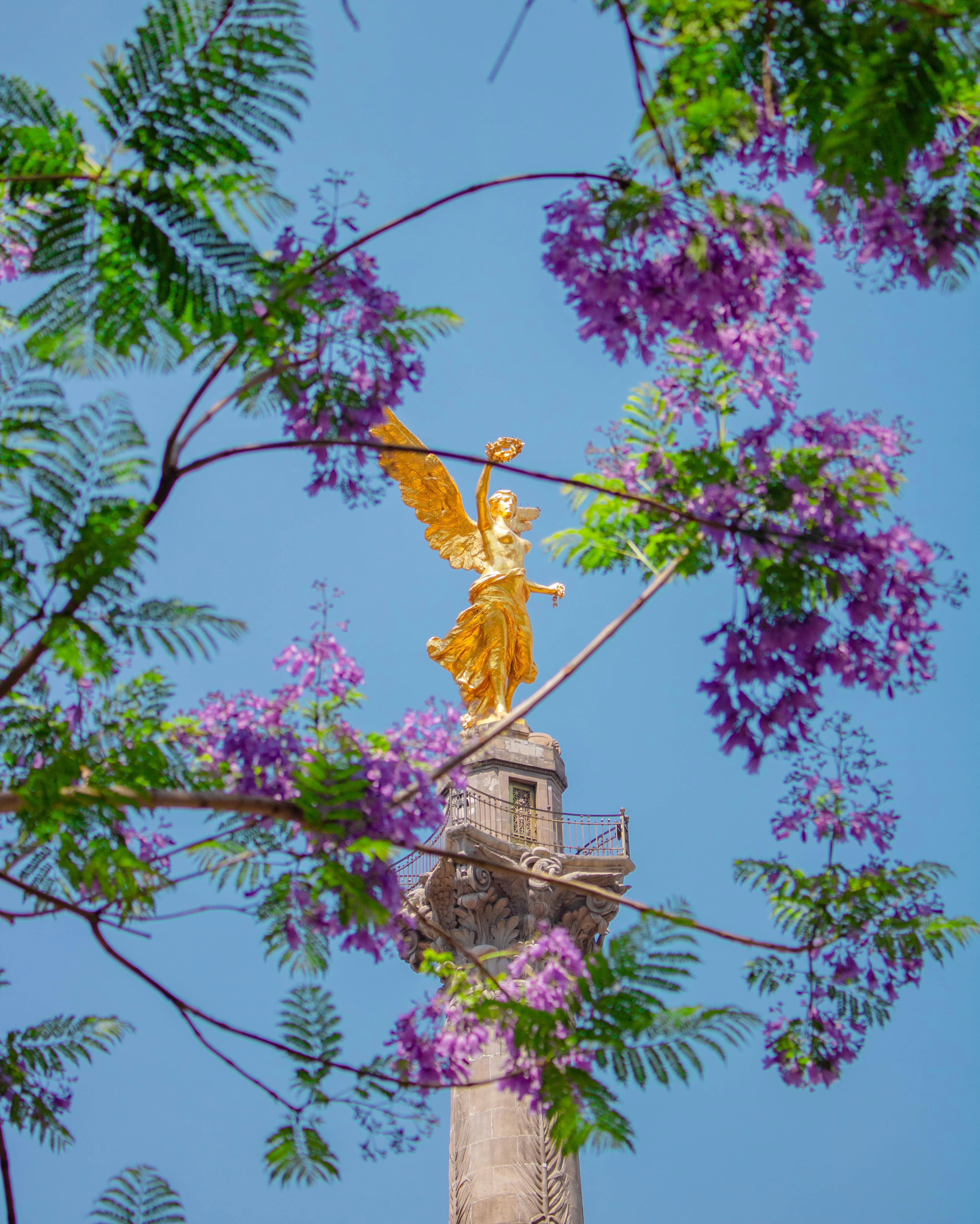 An Art Week in Mexico City curated by Paula Bustos