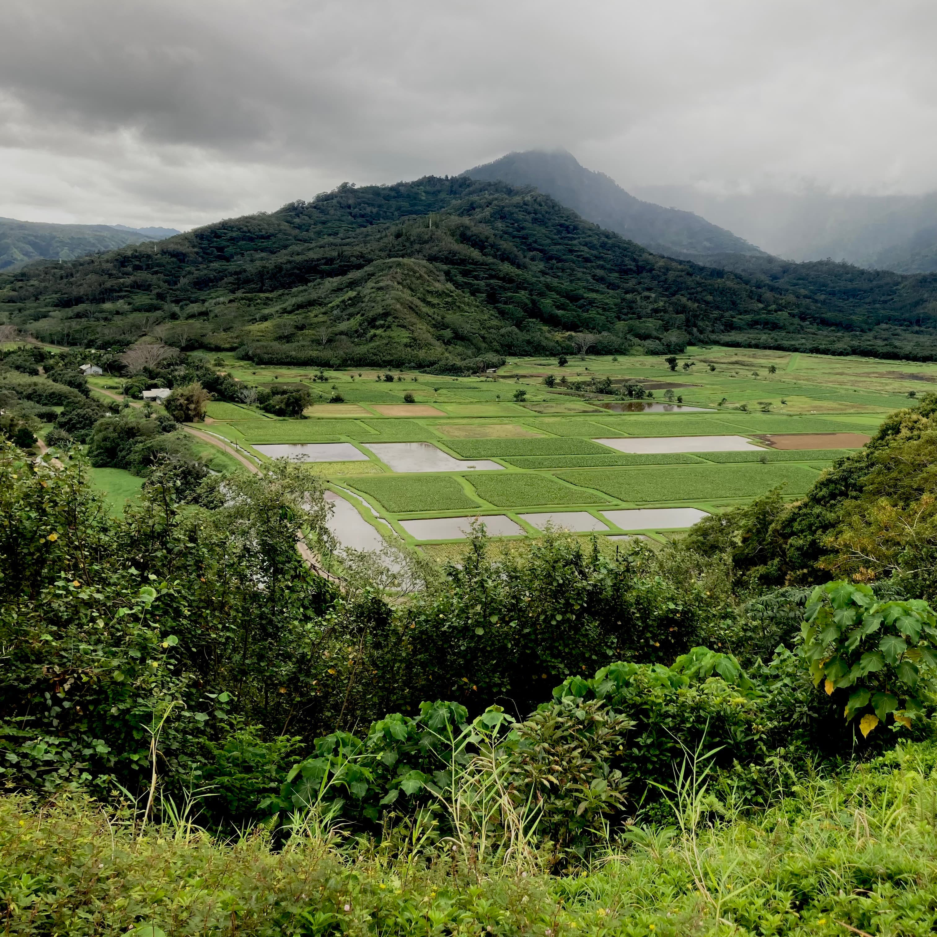 Ultimate Guide to Waikiki, O‘ahu curated by Stephanie Schadegg
