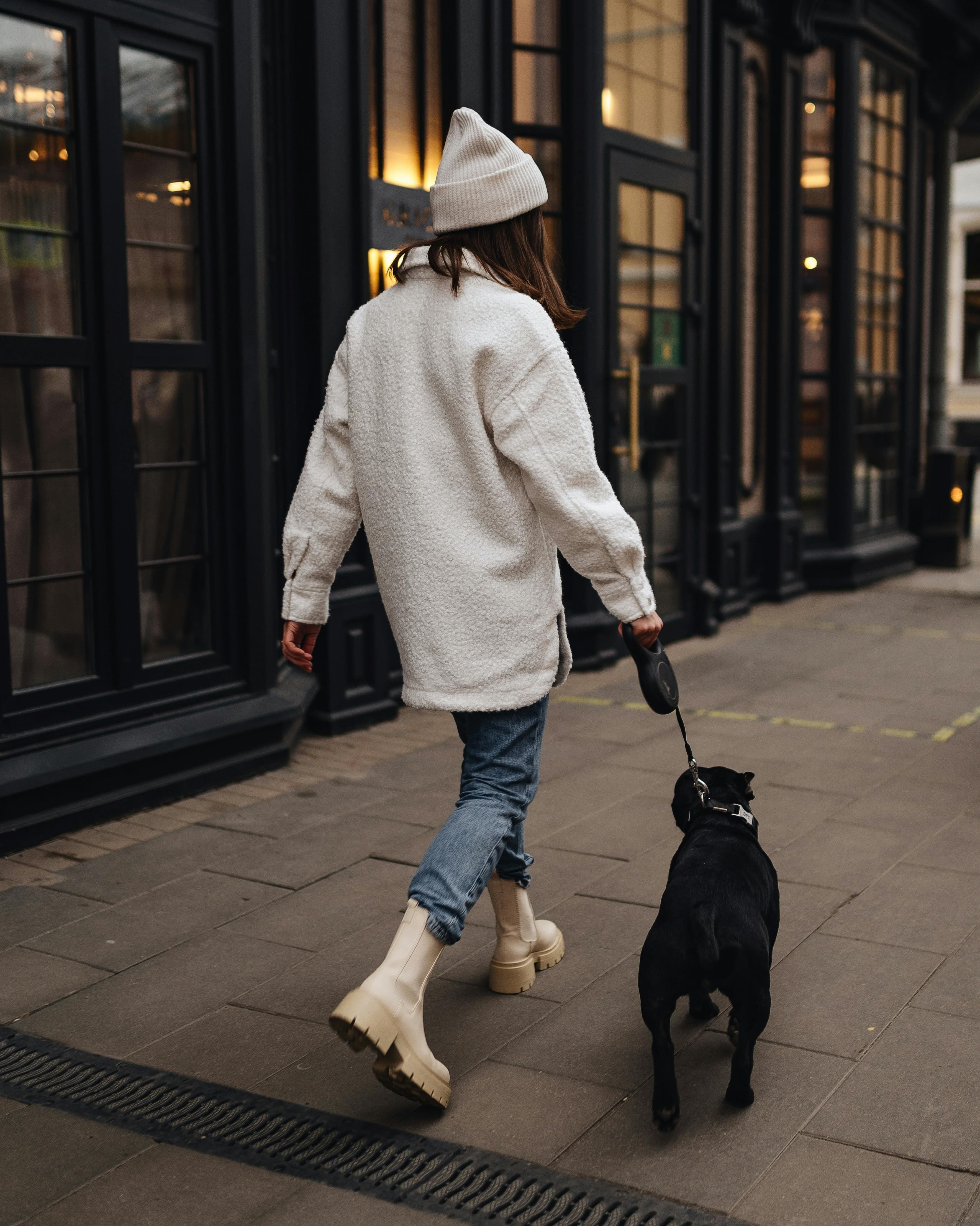 Pet-Friendly Activities & Spots in Washington, DC curated by Maddie Jackson