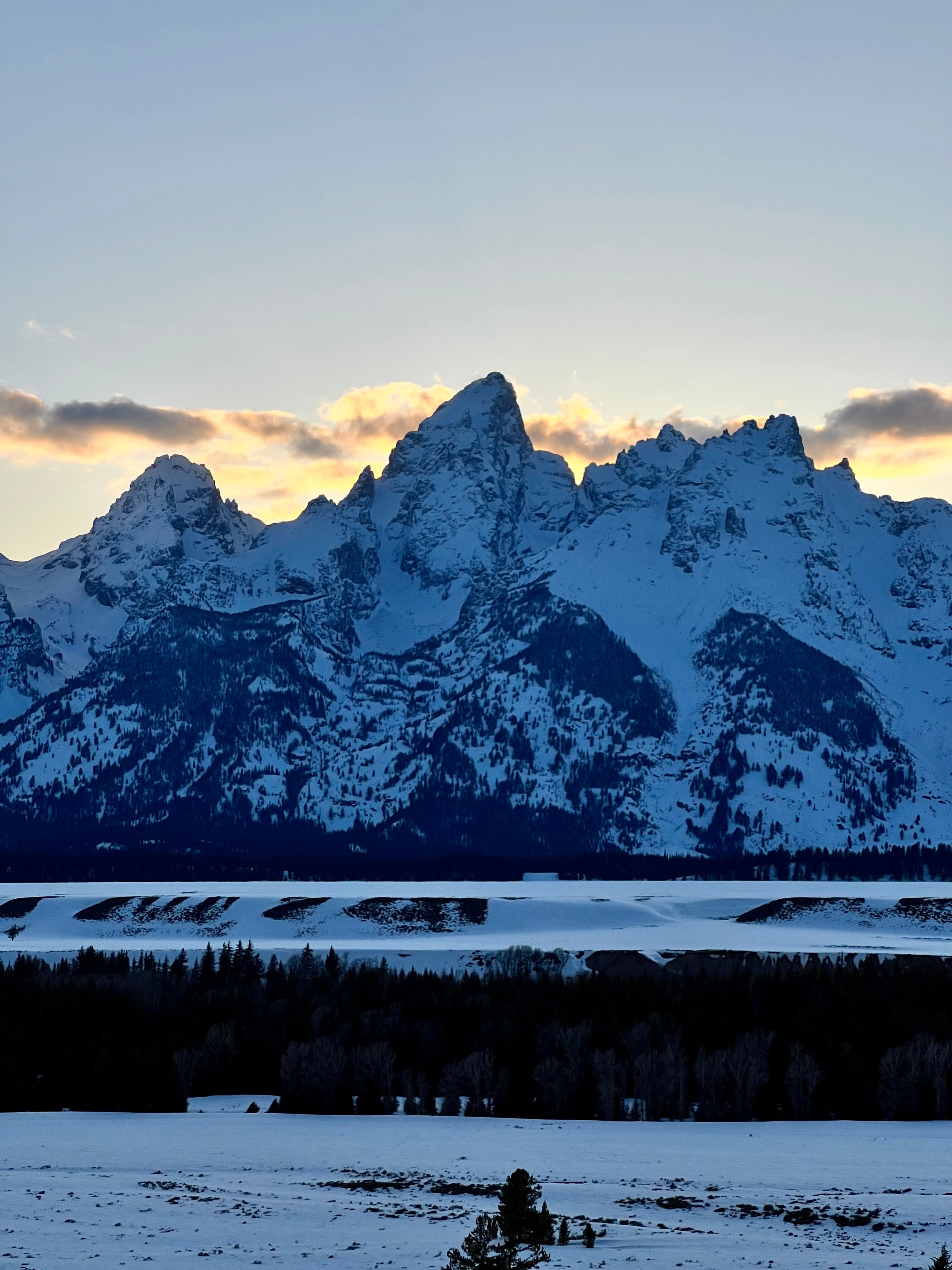 Wild in Wyoming: A Guide to Jackson Hole and the Grand Tetons curated by Liesel Richardson