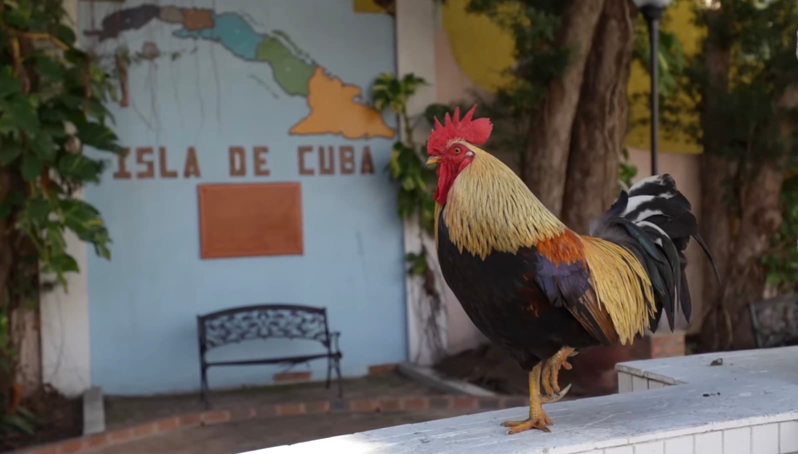 72 Hours in Tampa, FL: Like a Local curated by Kyymara Rose Wickiser